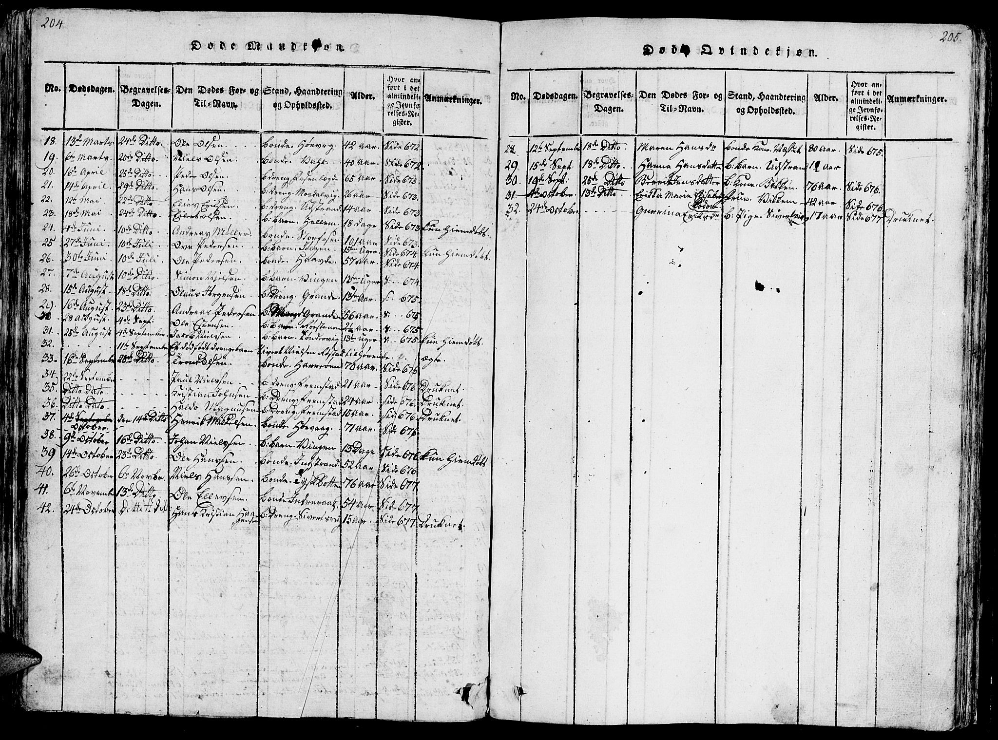 Ministerialprotokoller, klokkerbøker og fødselsregistre - Sør-Trøndelag, AV/SAT-A-1456/659/L0744: Parish register (copy) no. 659C01, 1818-1825, p. 204-205