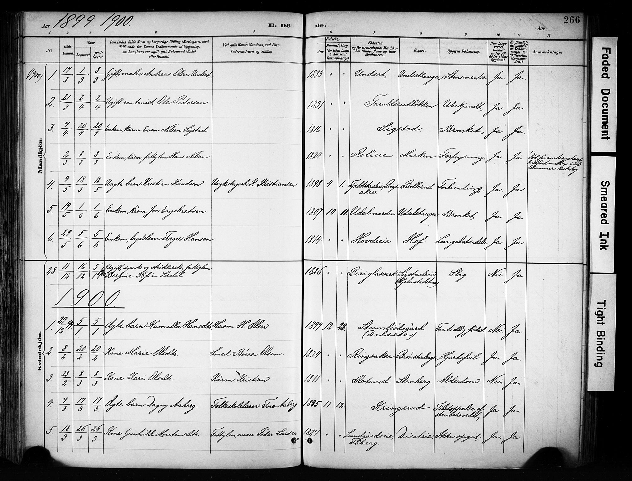 Biri prestekontor, SAH/PREST-096/H/Ha/Haa/L0009: Parish register (official) no. 9, 1887-1900, p. 266