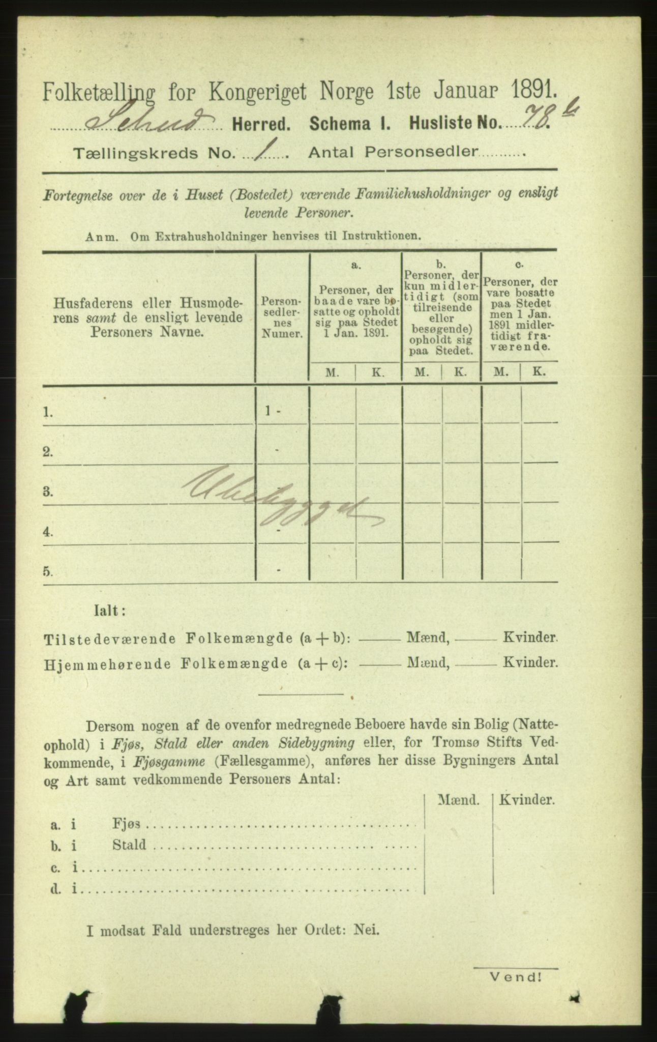 RA, 1891 census for 1732 Skei, 1891, p. 161