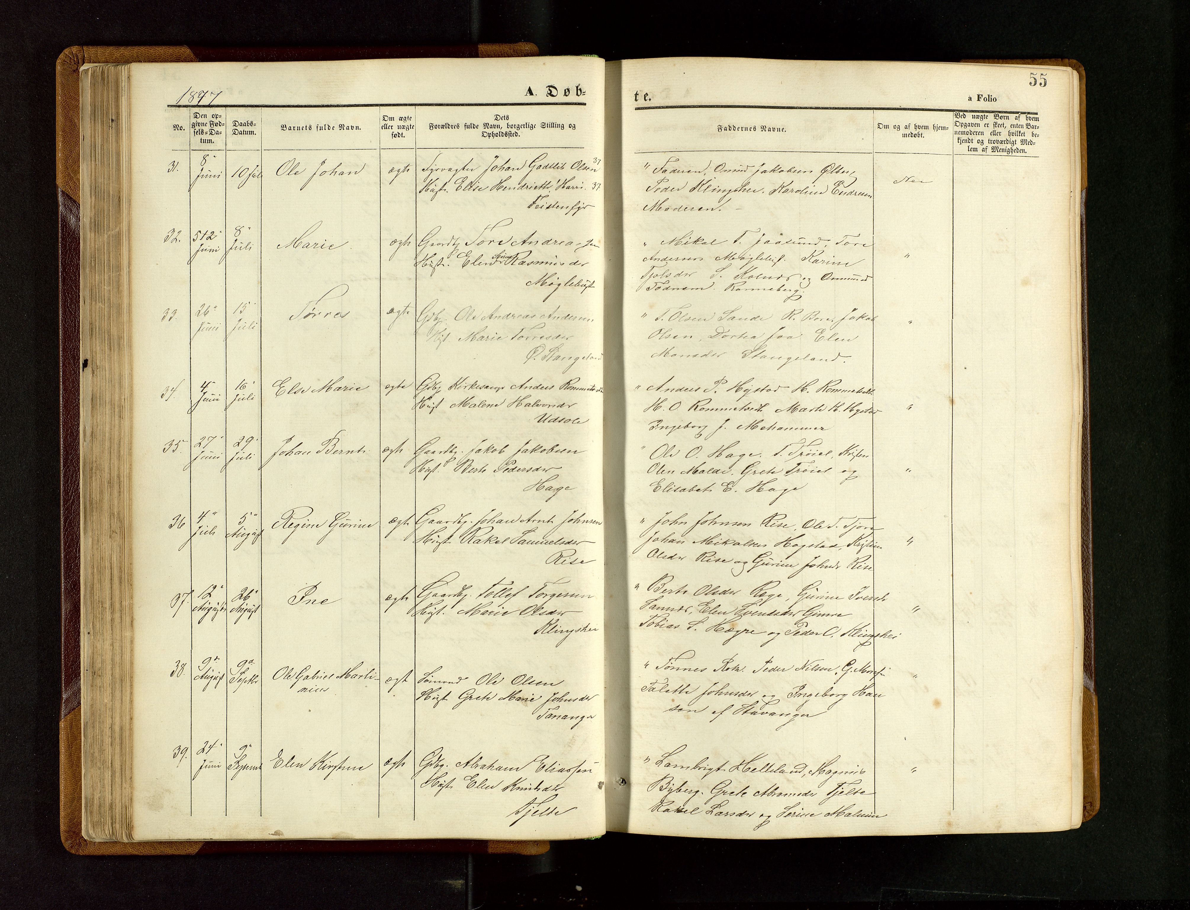 Håland sokneprestkontor, SAST/A-101802/001/30BB/L0003: Parish register (copy) no. B 3, 1873-1893, p. 55
