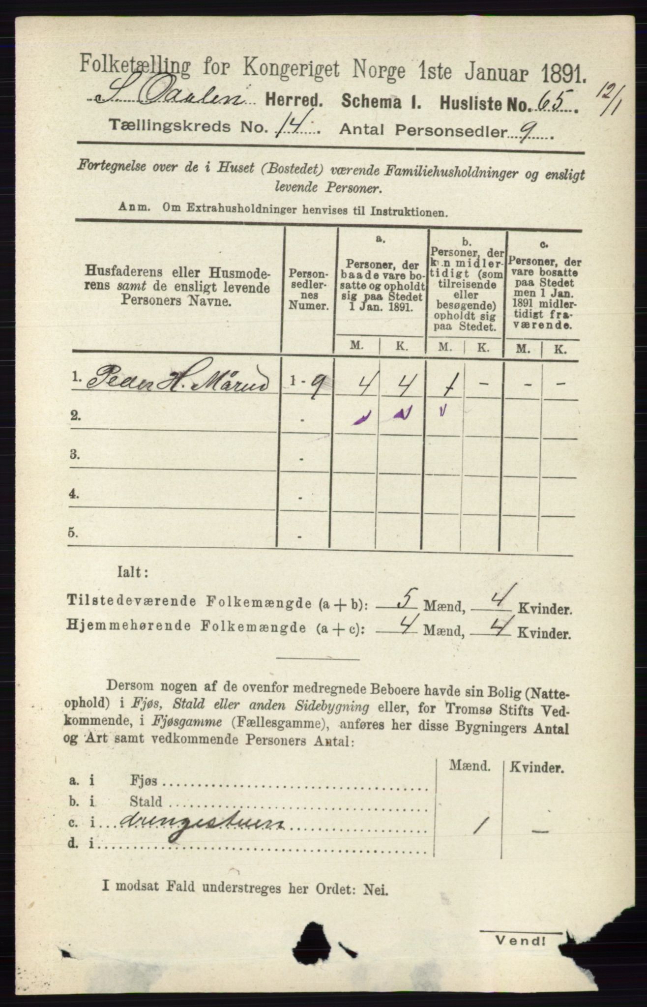 RA, 1891 census for 0419 Sør-Odal, 1891, p. 5982