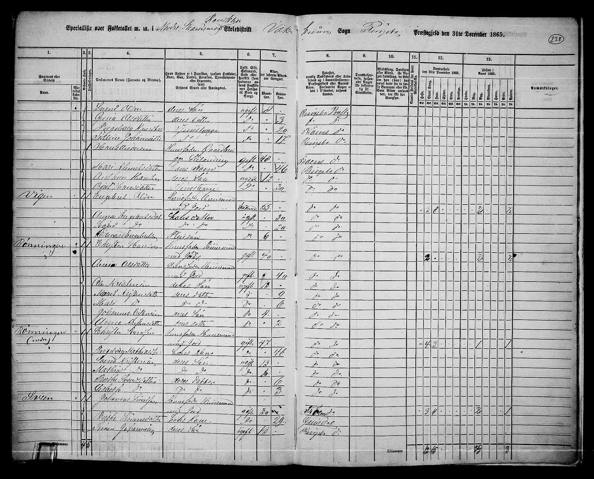 RA, 1865 census for Ringebu, 1865, p. 209