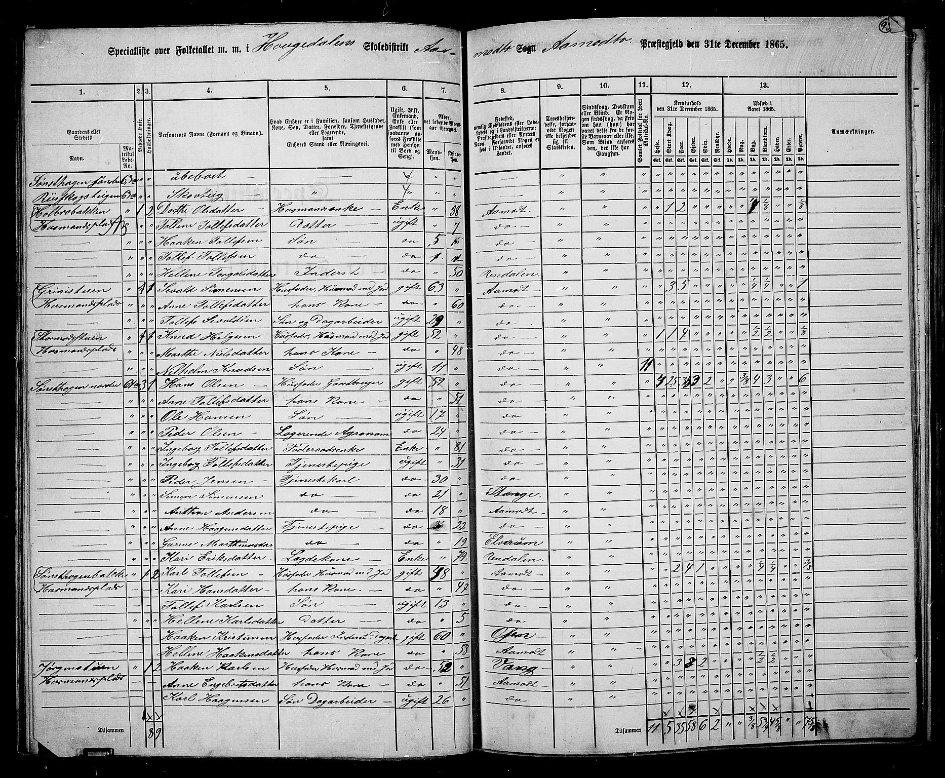 RA, 1865 census for Åmot, 1865, p. 85