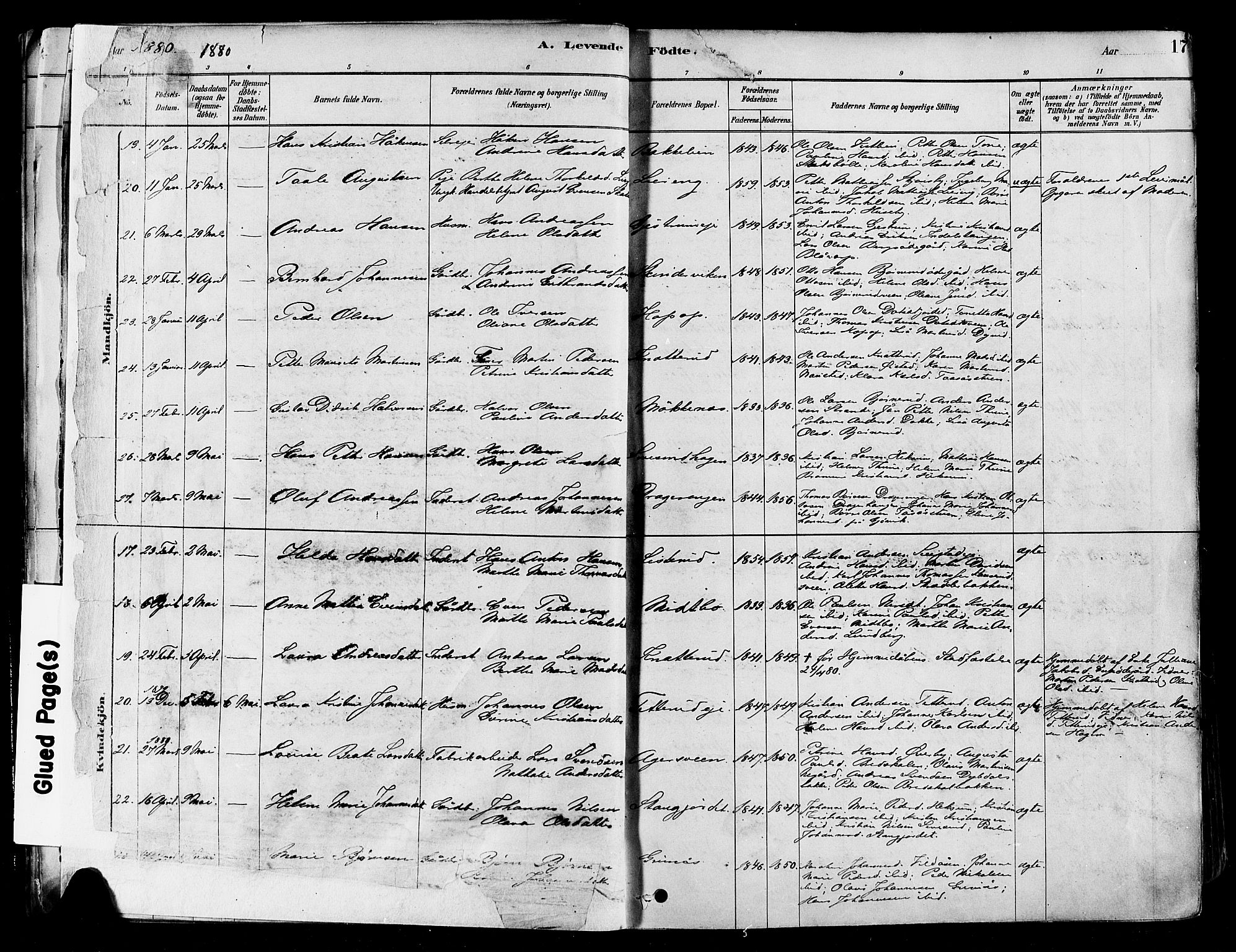 Vestre Toten prestekontor, AV/SAH-PREST-108/H/Ha/Haa/L0009: Parish register (official) no. 9, 1878-1894, p. 17