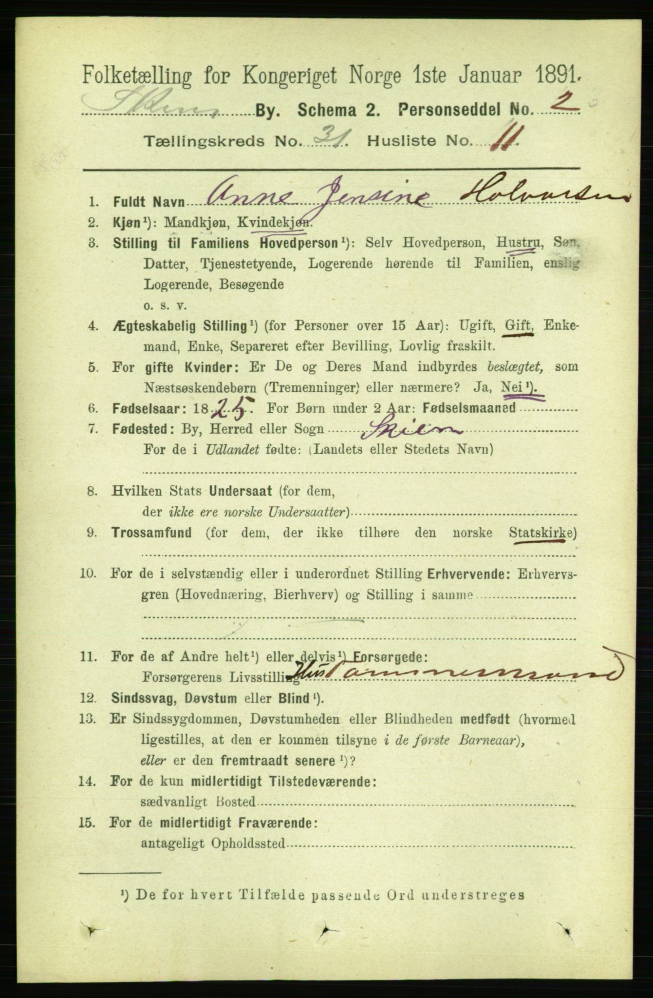 RA, 1891 census for 0806 Skien, 1891, p. 7118