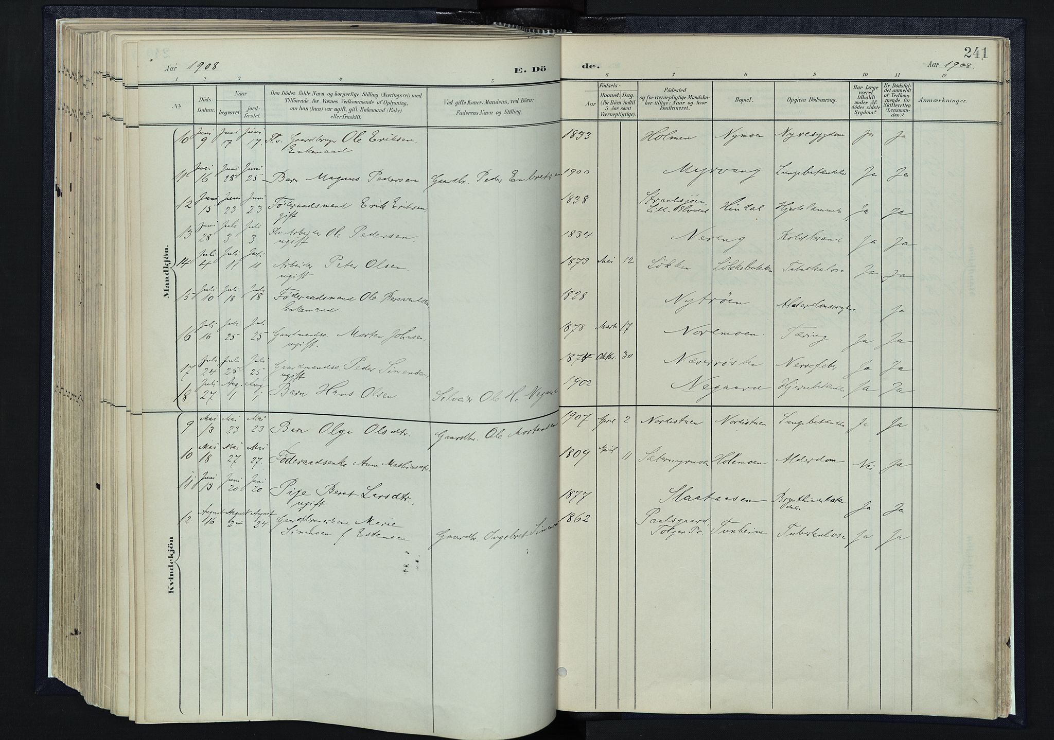 Tynset prestekontor, AV/SAH-PREST-058/H/Ha/Haa/L0025: Parish register (official) no. 25, 1900-1914, p. 241