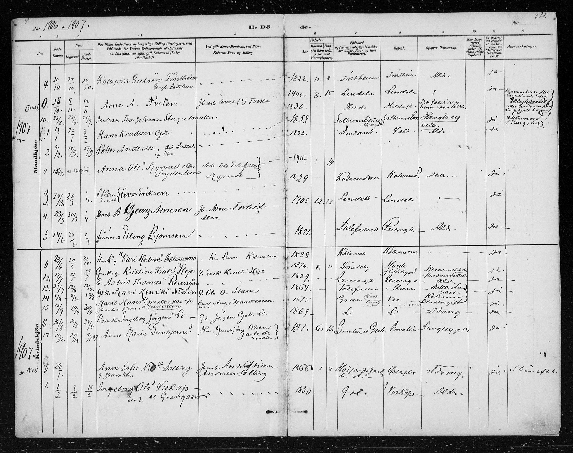 Nes kirkebøker, AV/SAKO-A-236/F/Fa/L0012: Parish register (official) no. 12, 1881-1917, p. 314