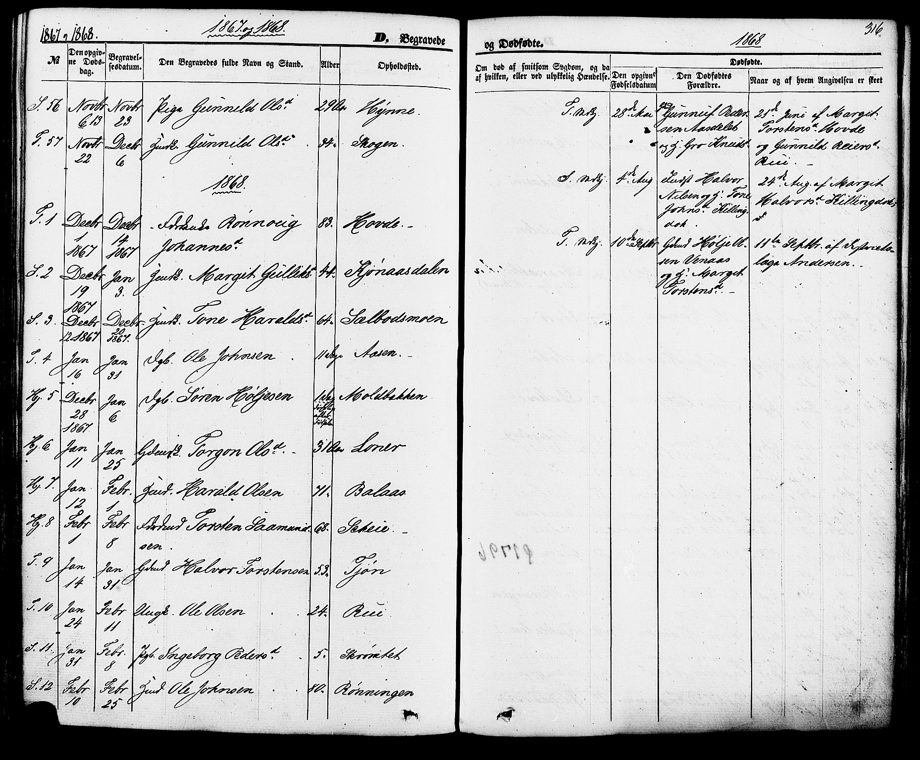 Hjartdal kirkebøker, AV/SAKO-A-270/F/Fa/L0009: Parish register (official) no. I 9, 1860-1879, p. 316