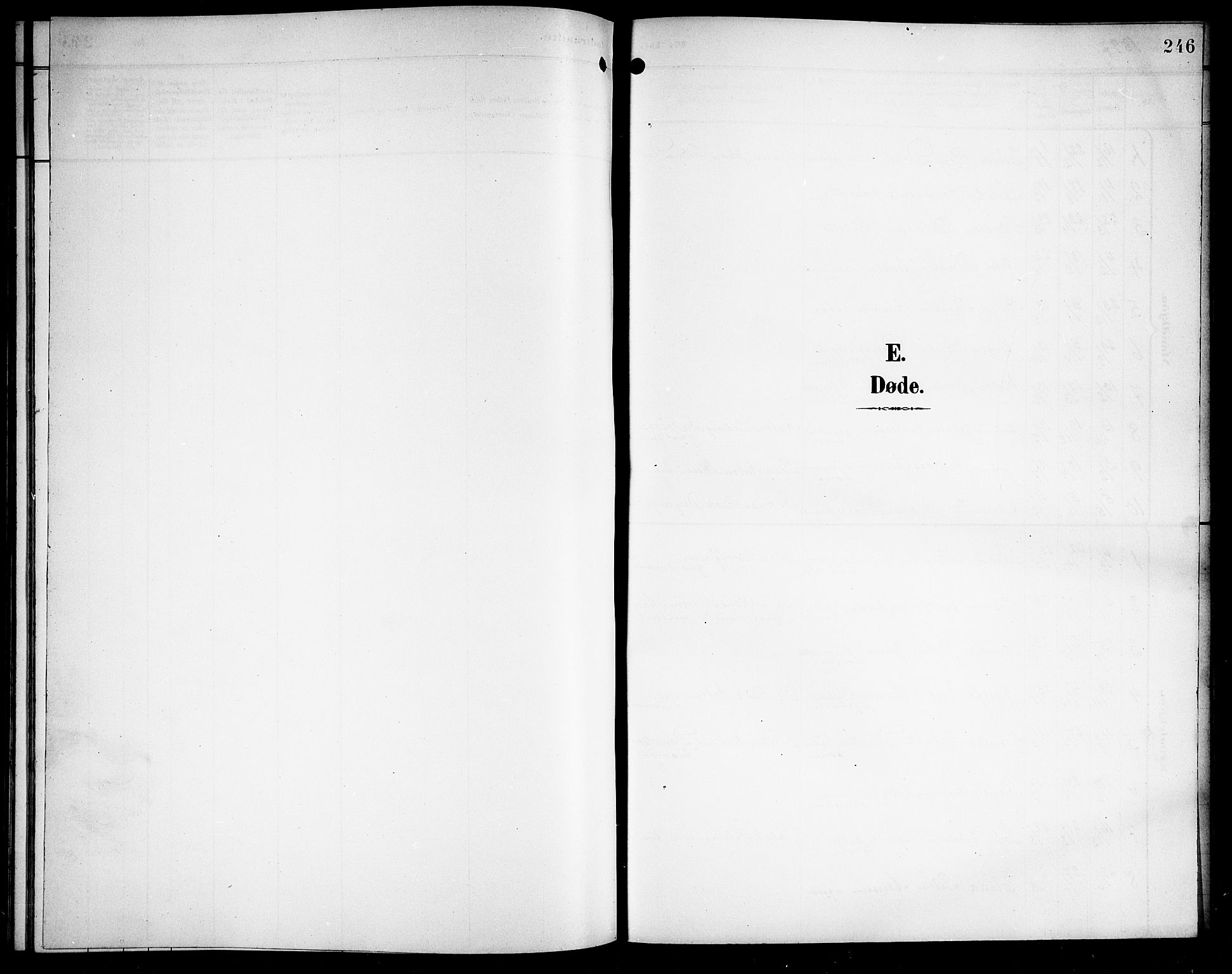 Ministerialprotokoller, klokkerbøker og fødselsregistre - Nordland, AV/SAT-A-1459/876/L1105: Parish register (copy) no. 876C04, 1896-1914, p. 246