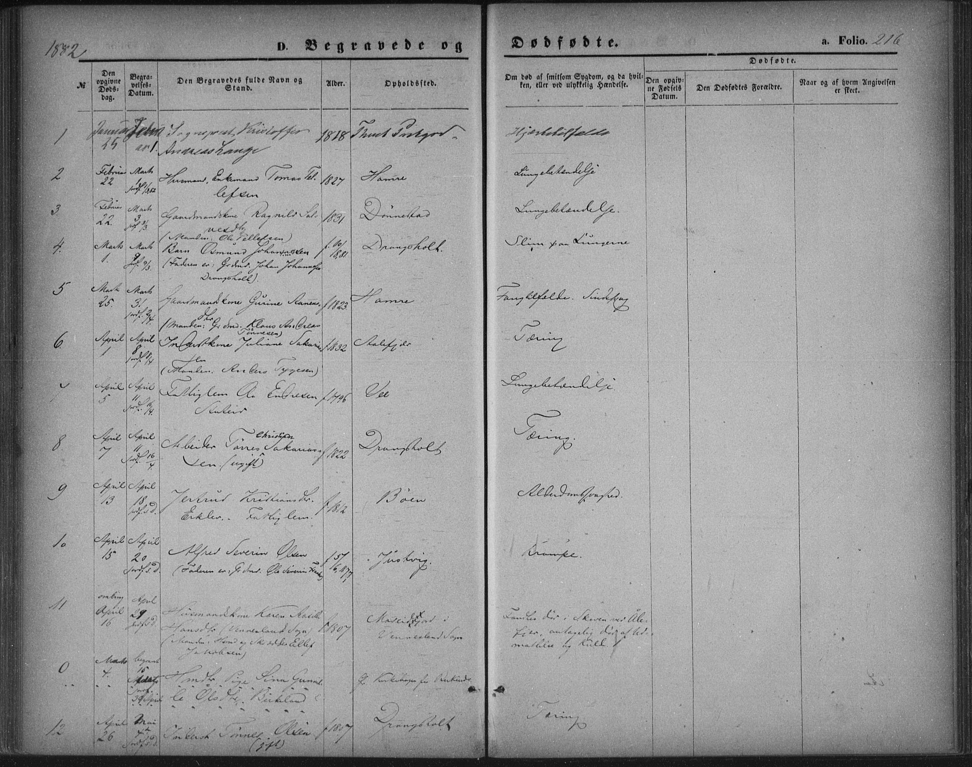Tveit sokneprestkontor, SAK/1111-0043/F/Fa/L0006: Parish register (official) no. A 6, 1872-1886, p. 216