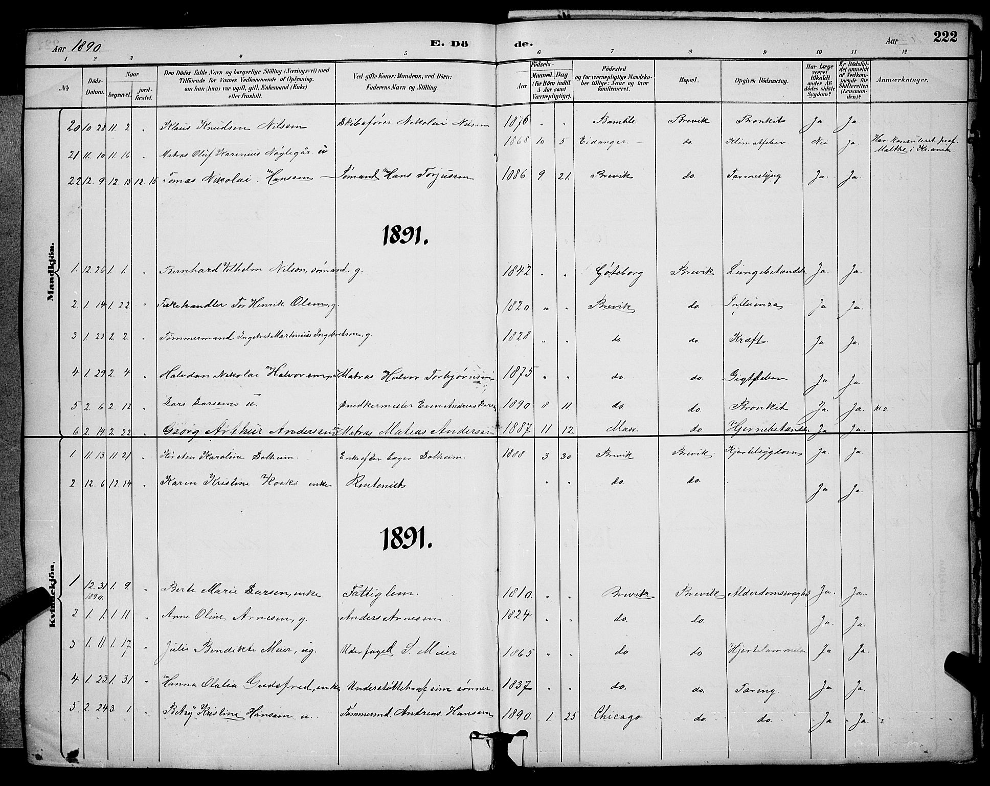 Brevik kirkebøker, SAKO/A-255/G/Ga/L0004: Parish register (copy) no. 4, 1882-1900, p. 222