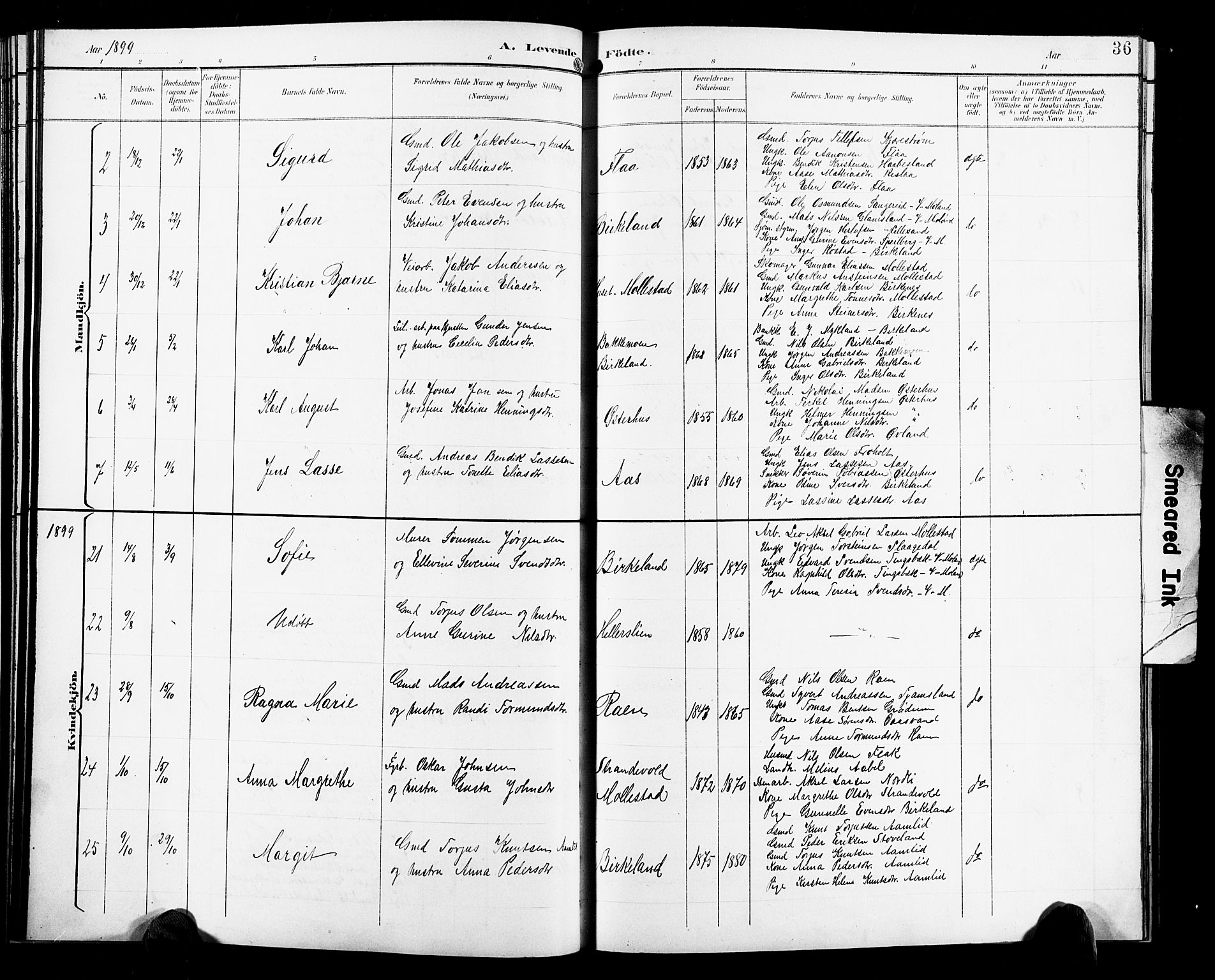Birkenes sokneprestkontor, SAK/1111-0004/F/Fb/L0004: Parish register (copy) no. B 4, 1893-1930, p. 36