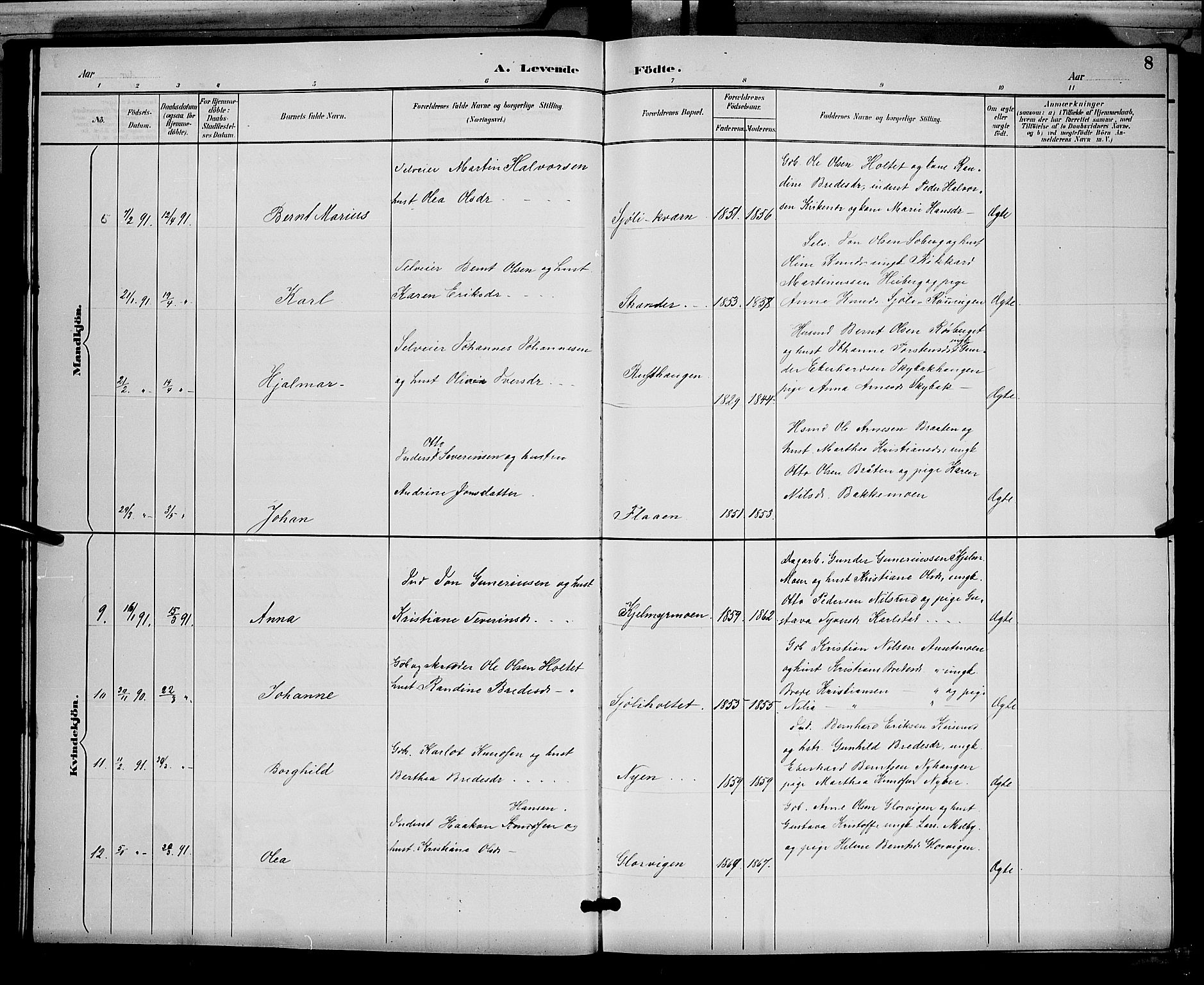 Åsnes prestekontor, SAH/PREST-042/H/Ha/Hab/L0002: Parish register (copy) no. 2, 1890-1891, p. 8
