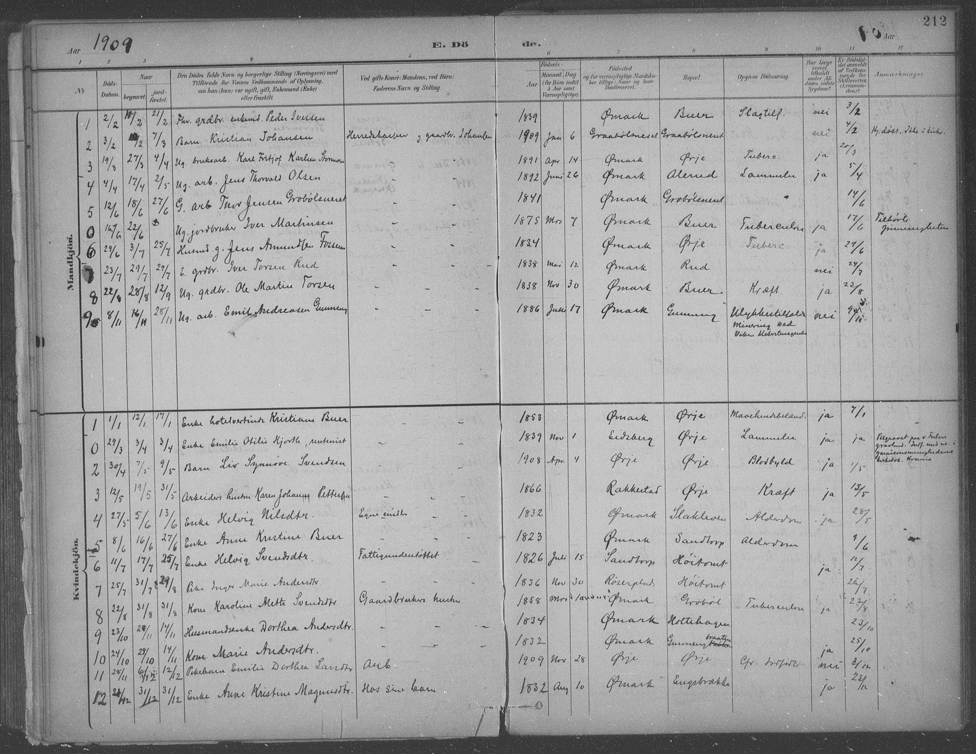 Aremark prestekontor Kirkebøker, SAO/A-10899/F/Fb/L0005: Parish register (official) no. II 5, 1895-1919, p. 212
