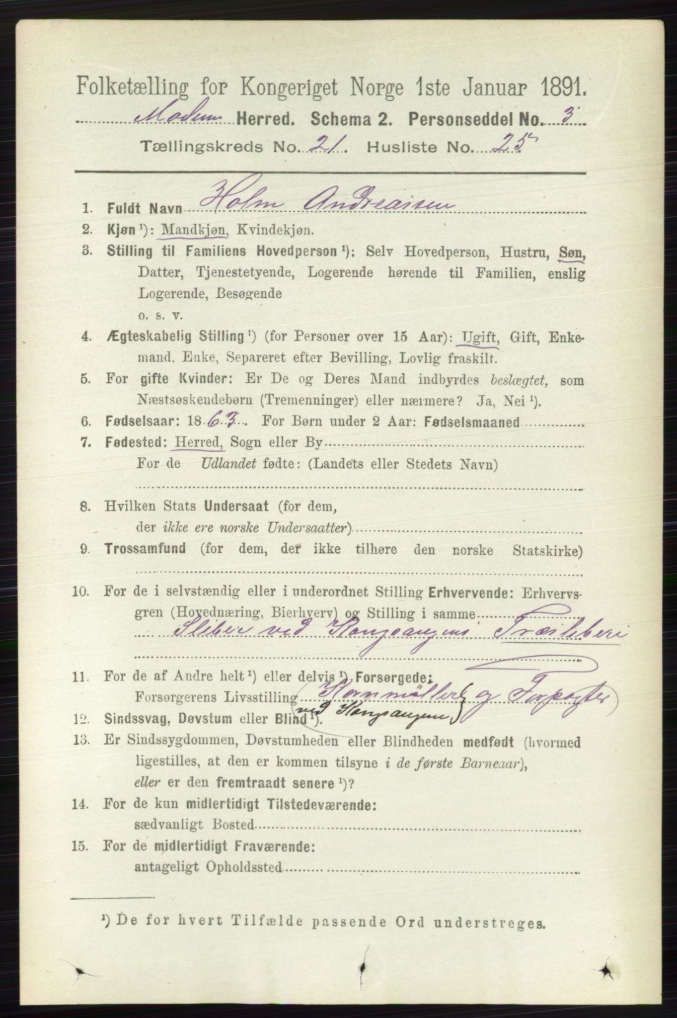 RA, 1891 census for 0623 Modum, 1891, p. 8254