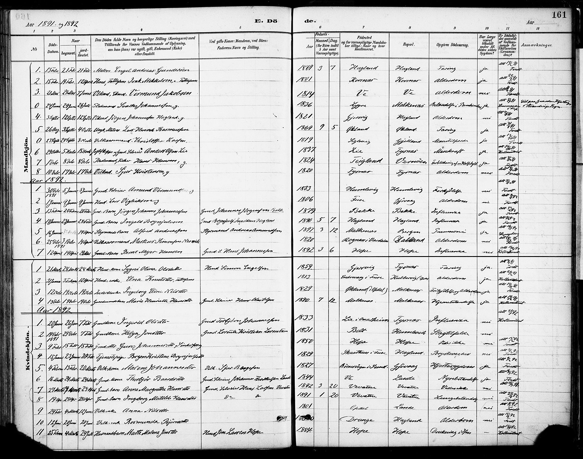 Tysnes sokneprestembete, SAB/A-78601/H/Haa: Parish register (official) no. B 1, 1887-1906, p. 161