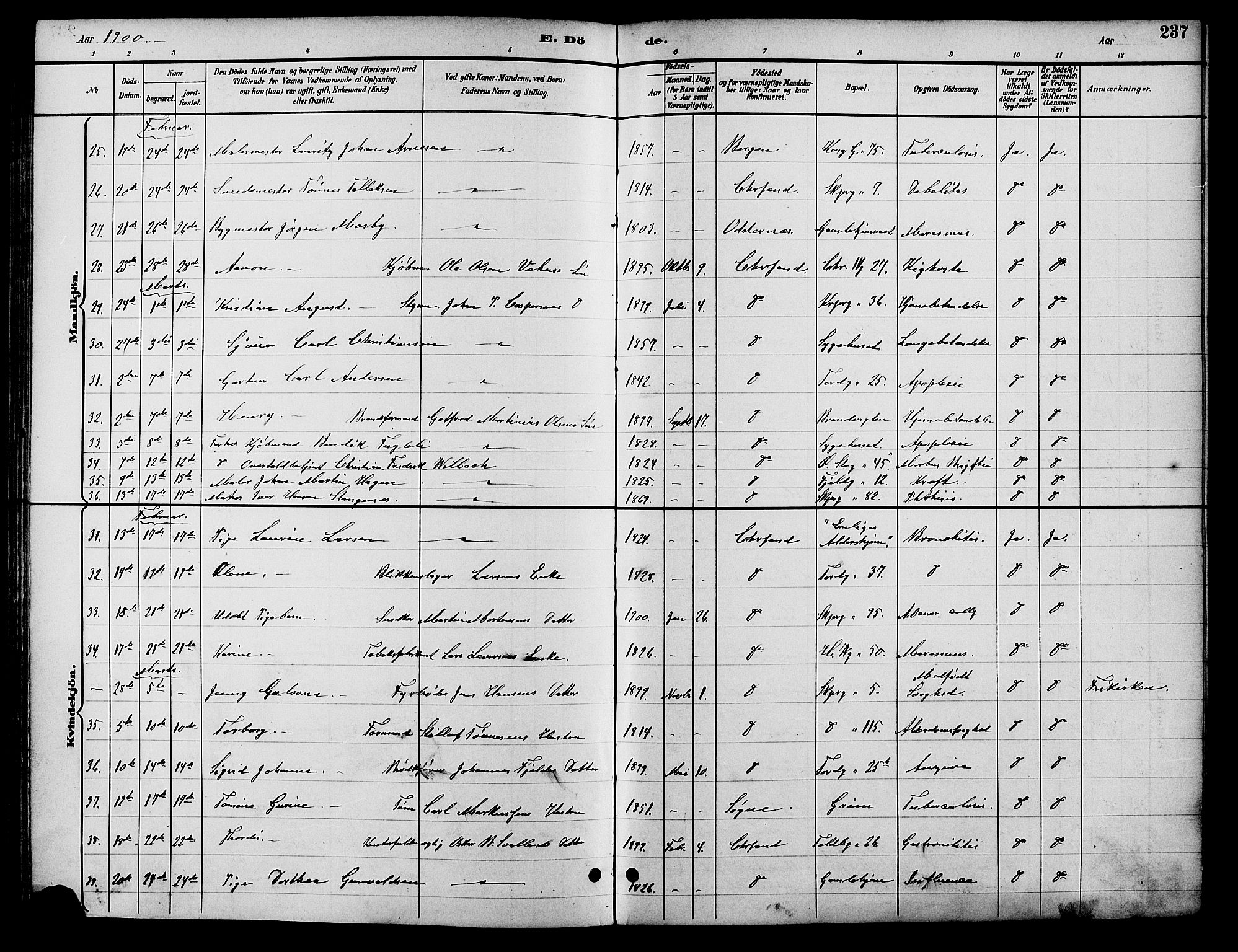 Kristiansand domprosti, SAK/1112-0006/F/Fb/L0017: Parish register (copy) no. B 17, 1893-1906, p. 237