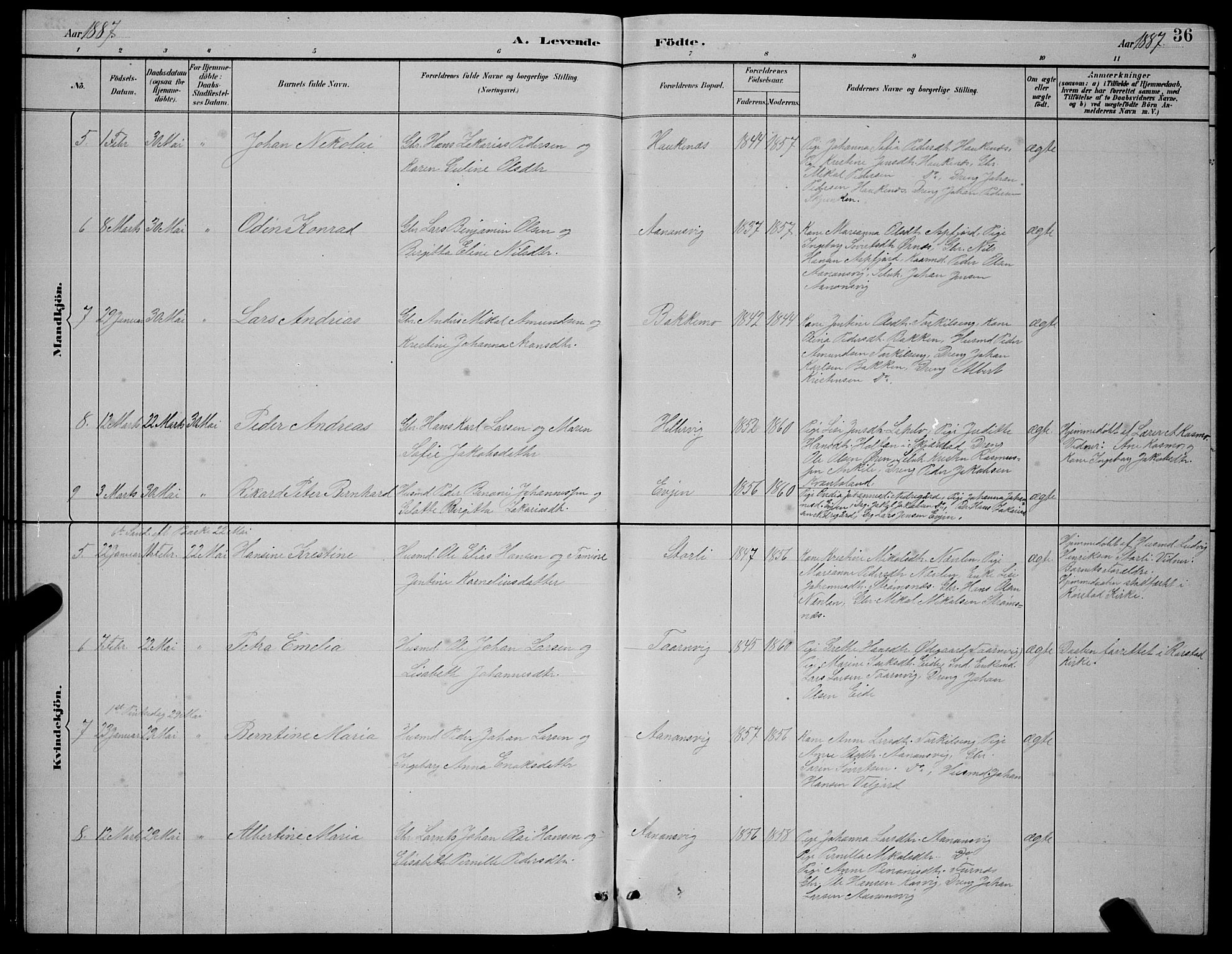 Ministerialprotokoller, klokkerbøker og fødselsregistre - Nordland, AV/SAT-A-1459/854/L0785: Parish register (copy) no. 854C01, 1883-1891, p. 36