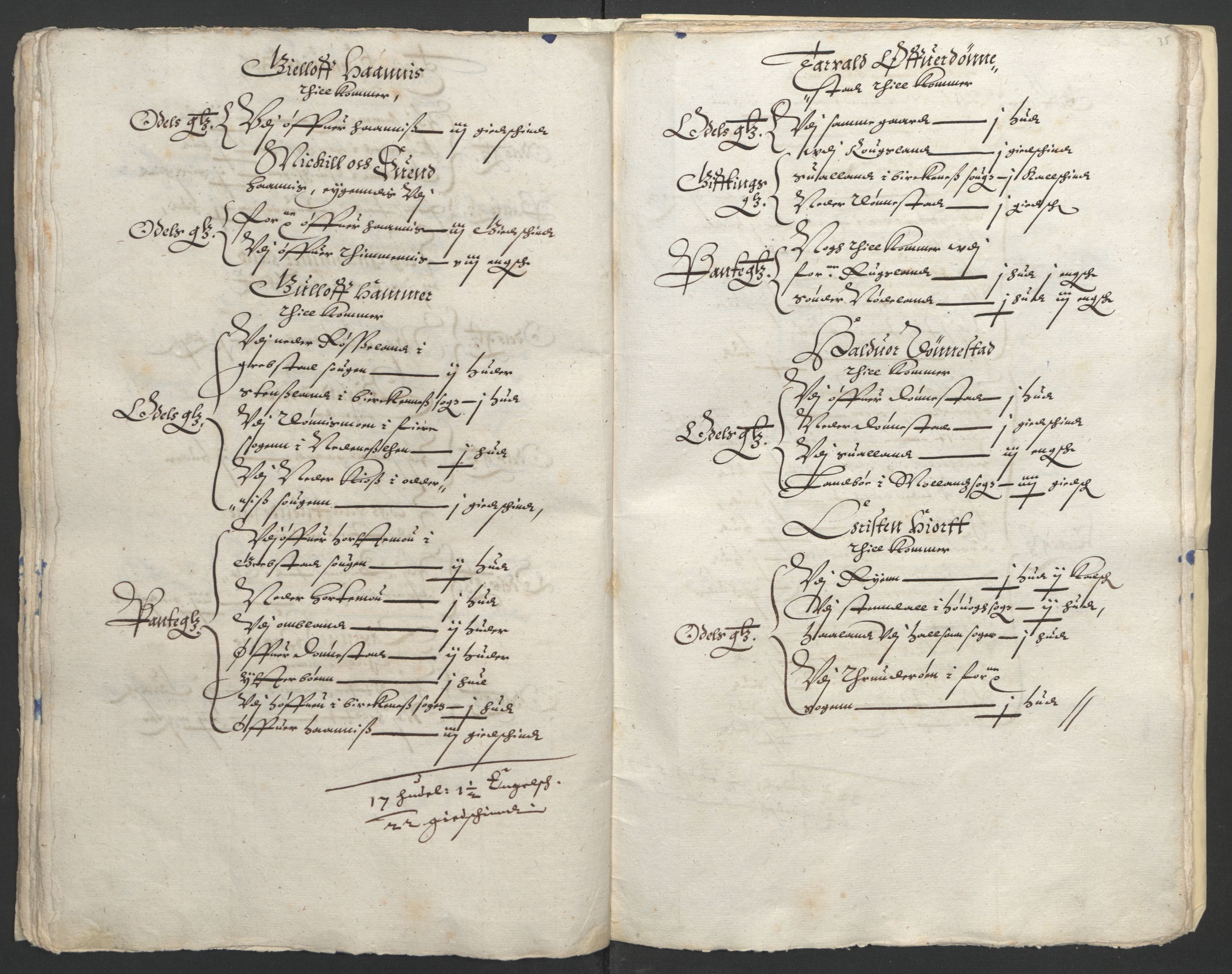 Stattholderembetet 1572-1771, AV/RA-EA-2870/Ek/L0010/0001: Jordebøker til utlikning av rosstjeneste 1624-1626: / Odelsjordebøker for Agdesiden len, 1624, p. 131