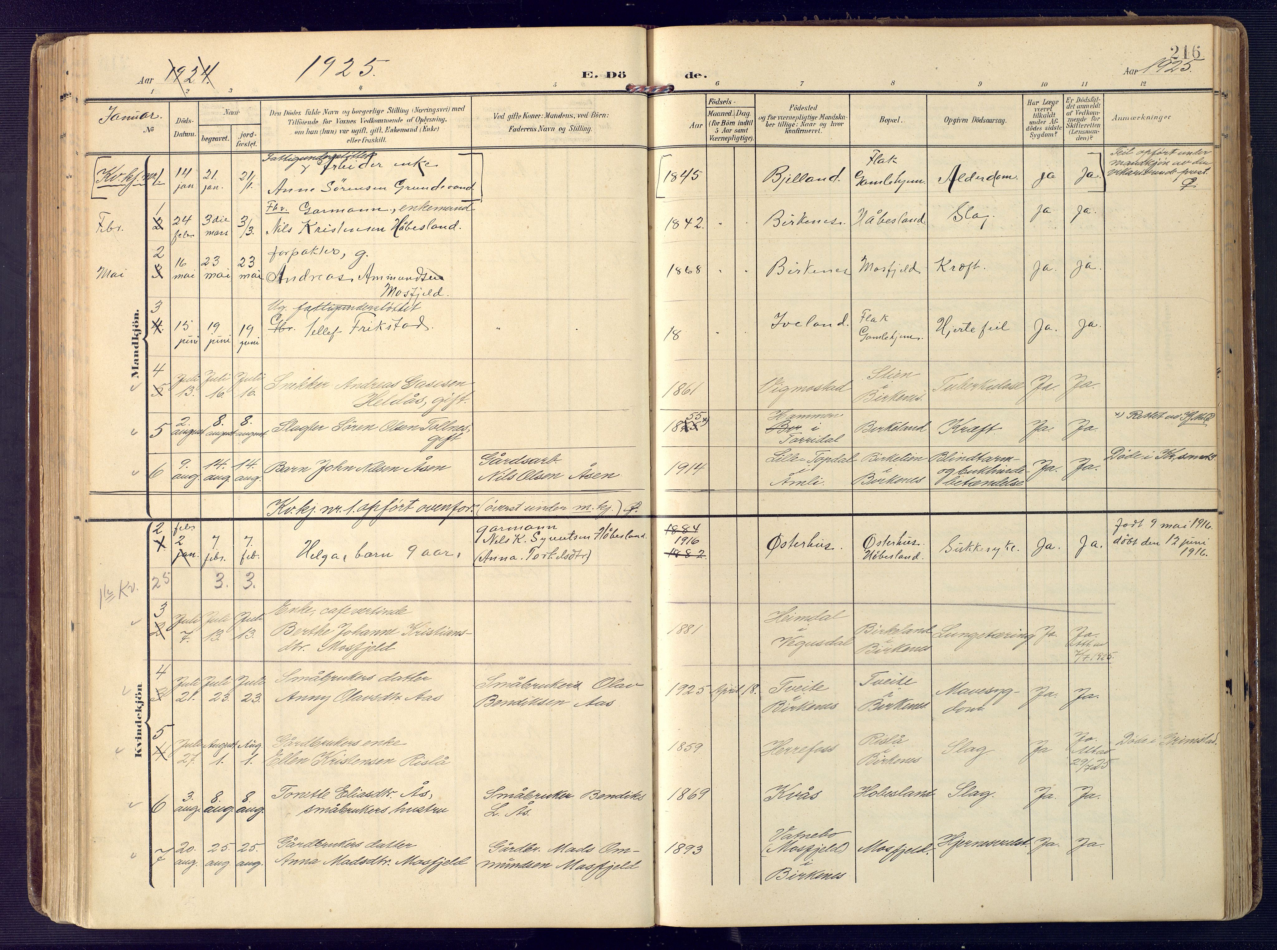 Birkenes sokneprestkontor, AV/SAK-1111-0004/F/Fa/L0006: Parish register (official) no. A 6, 1908-1932, p. 216