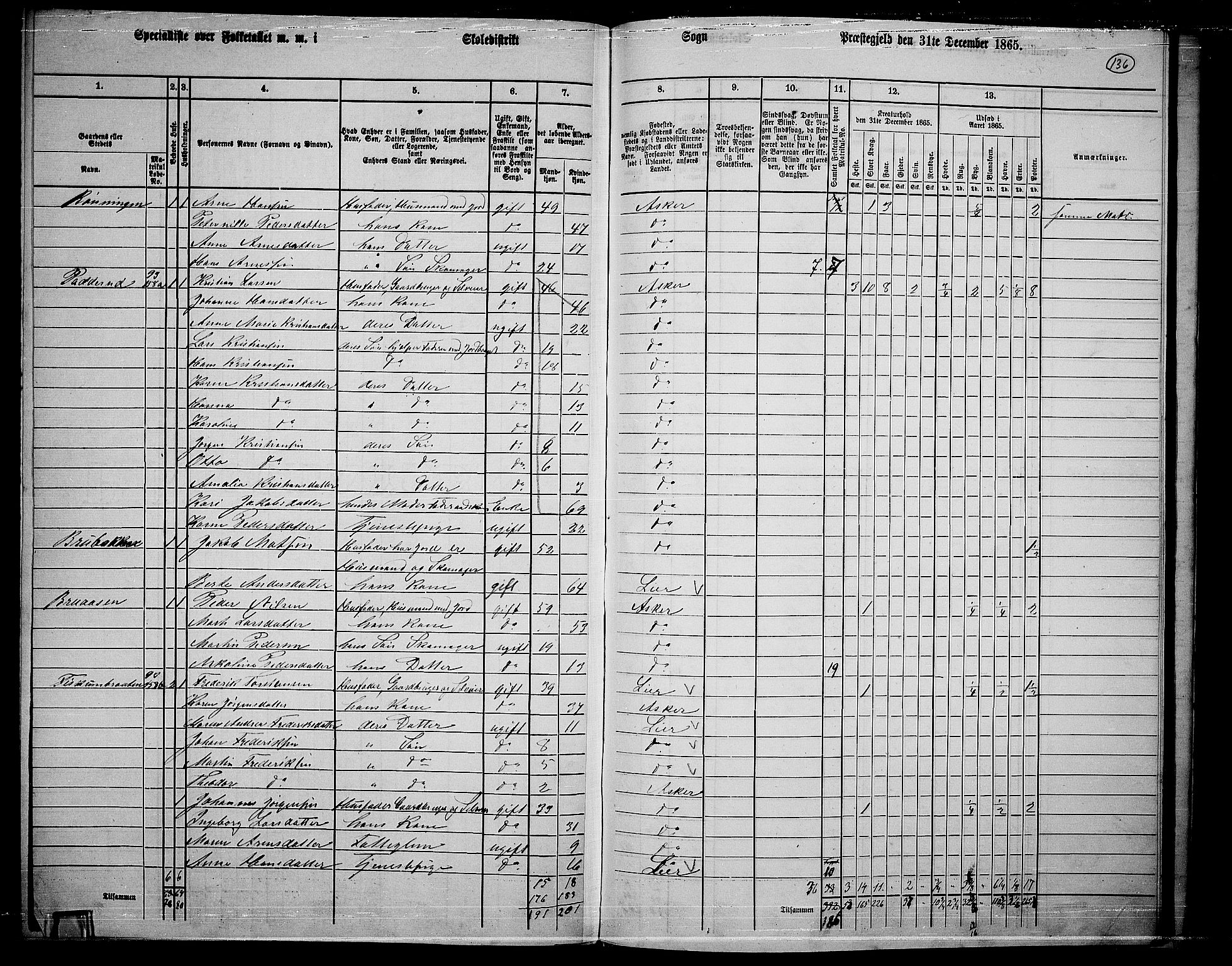 RA, 1865 census for Asker, 1865, p. 132