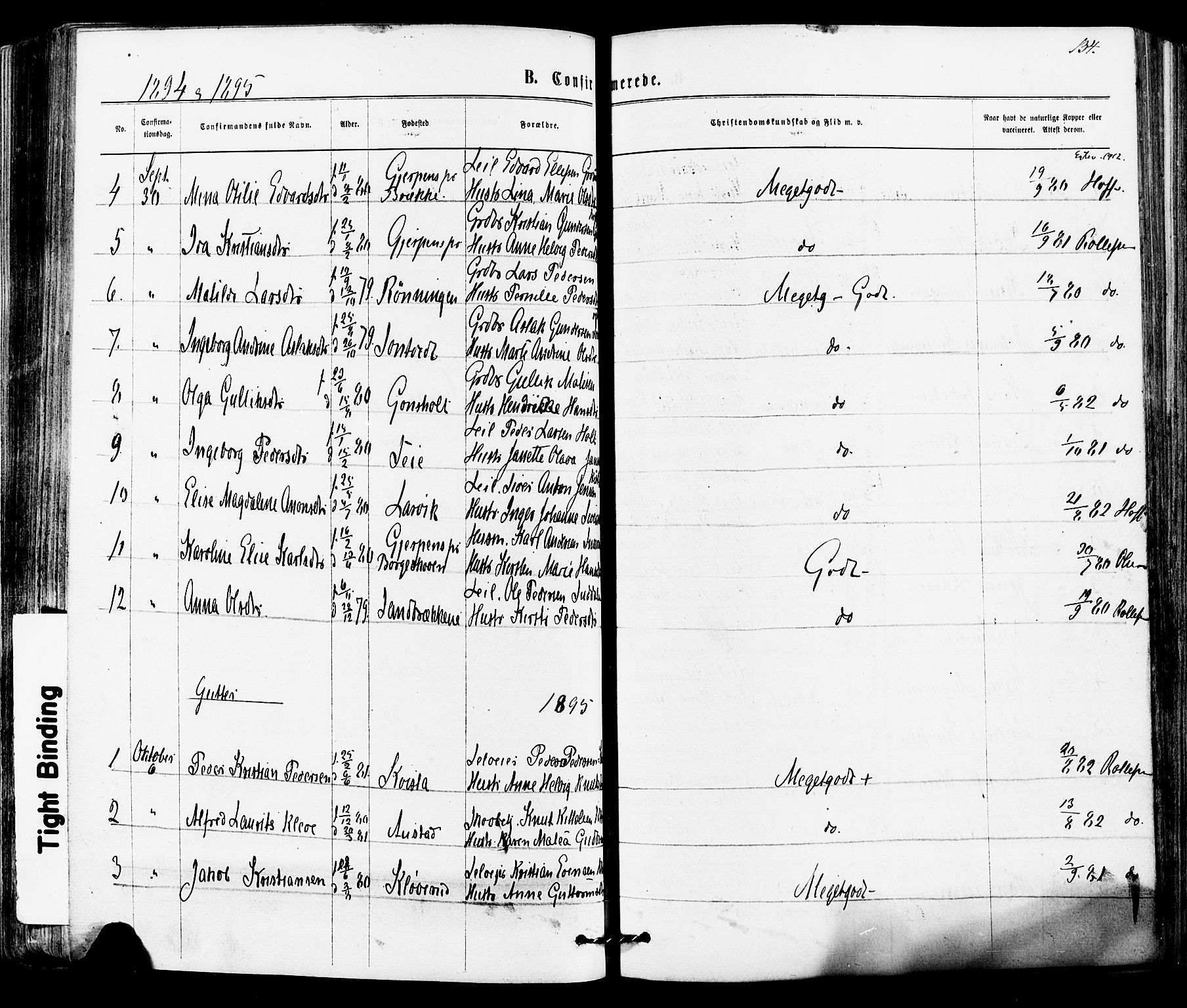Siljan kirkebøker, SAKO/A-300/F/Fa/L0002: Parish register (official) no. 2, 1870-1895, p. 134