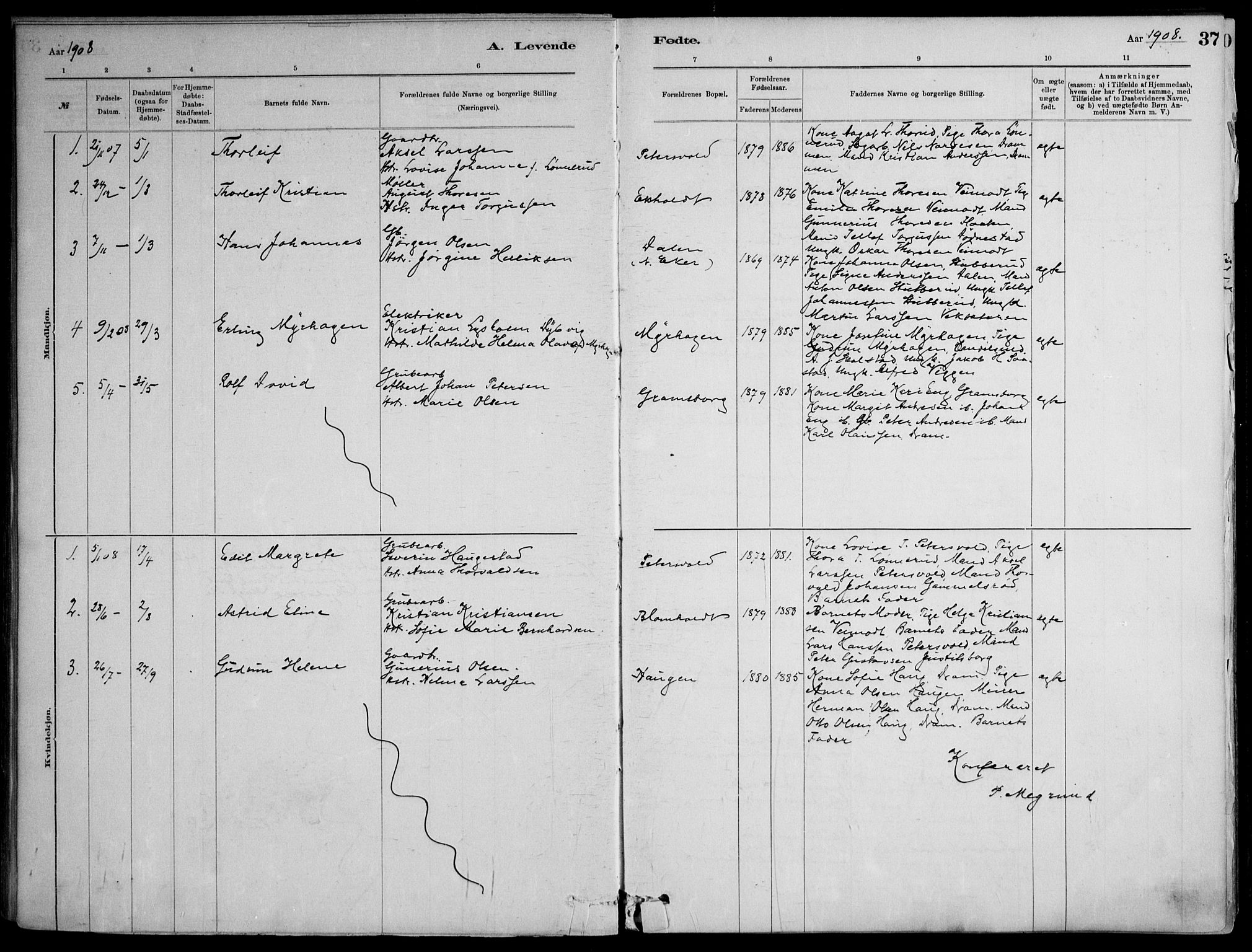 Skoger kirkebøker, SAKO/A-59/F/Fb/L0001: Parish register (official) no. II 1, 1885-1913, p. 37