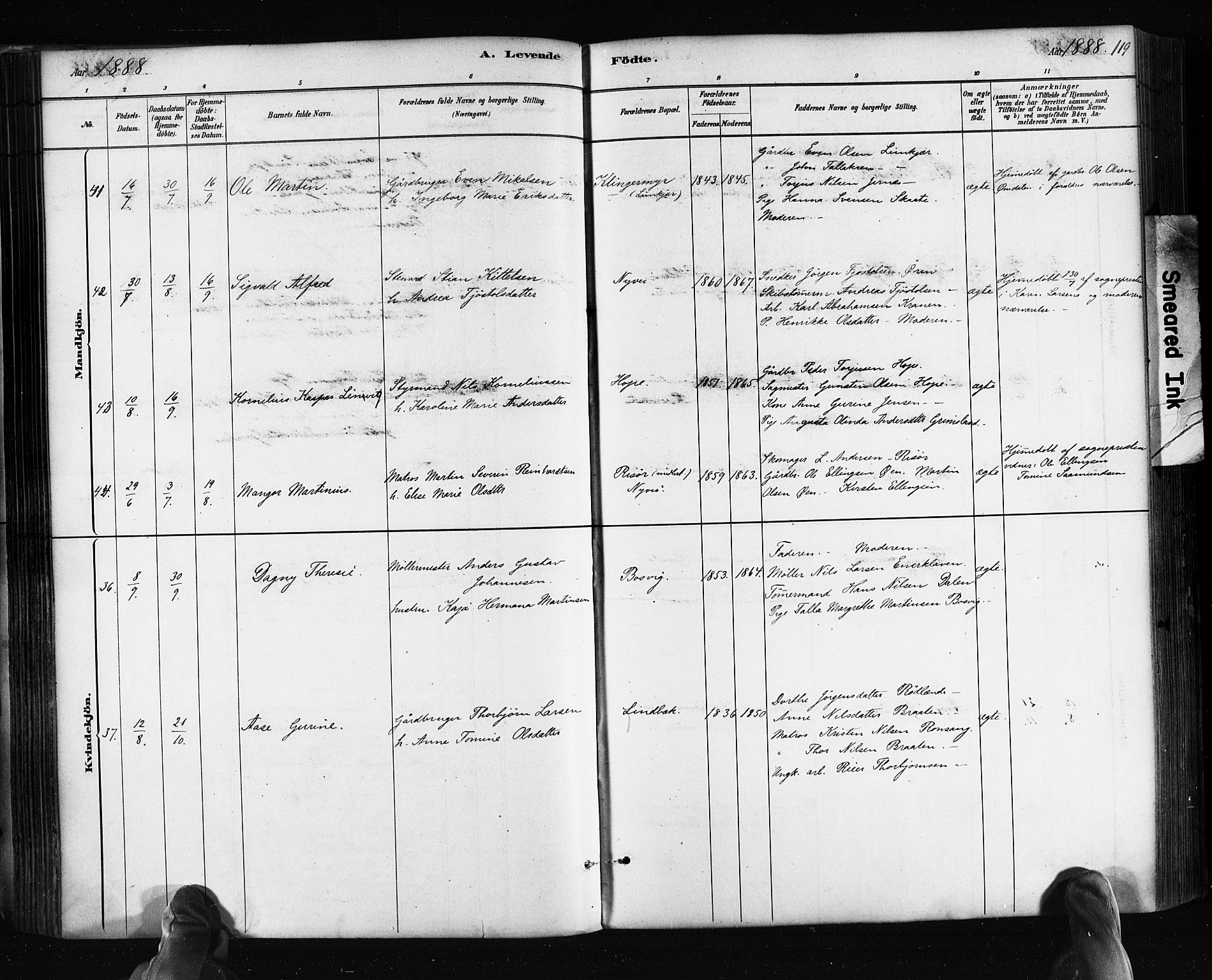 Søndeled sokneprestkontor, AV/SAK-1111-0038/F/Fa/L0004: Parish register (official) no. A 4, 1880-1889, p. 119