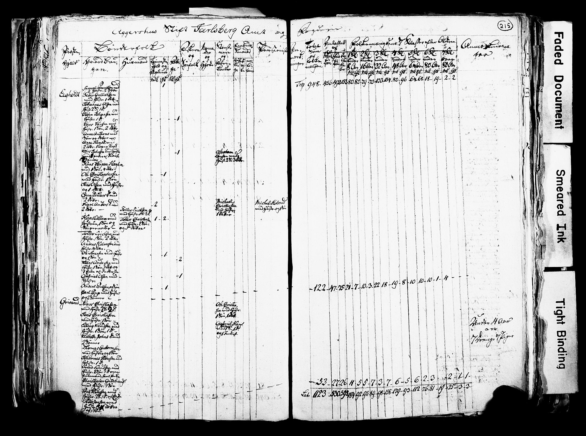 RA, Census 1815 for Skoger parish, 1815, p. 215