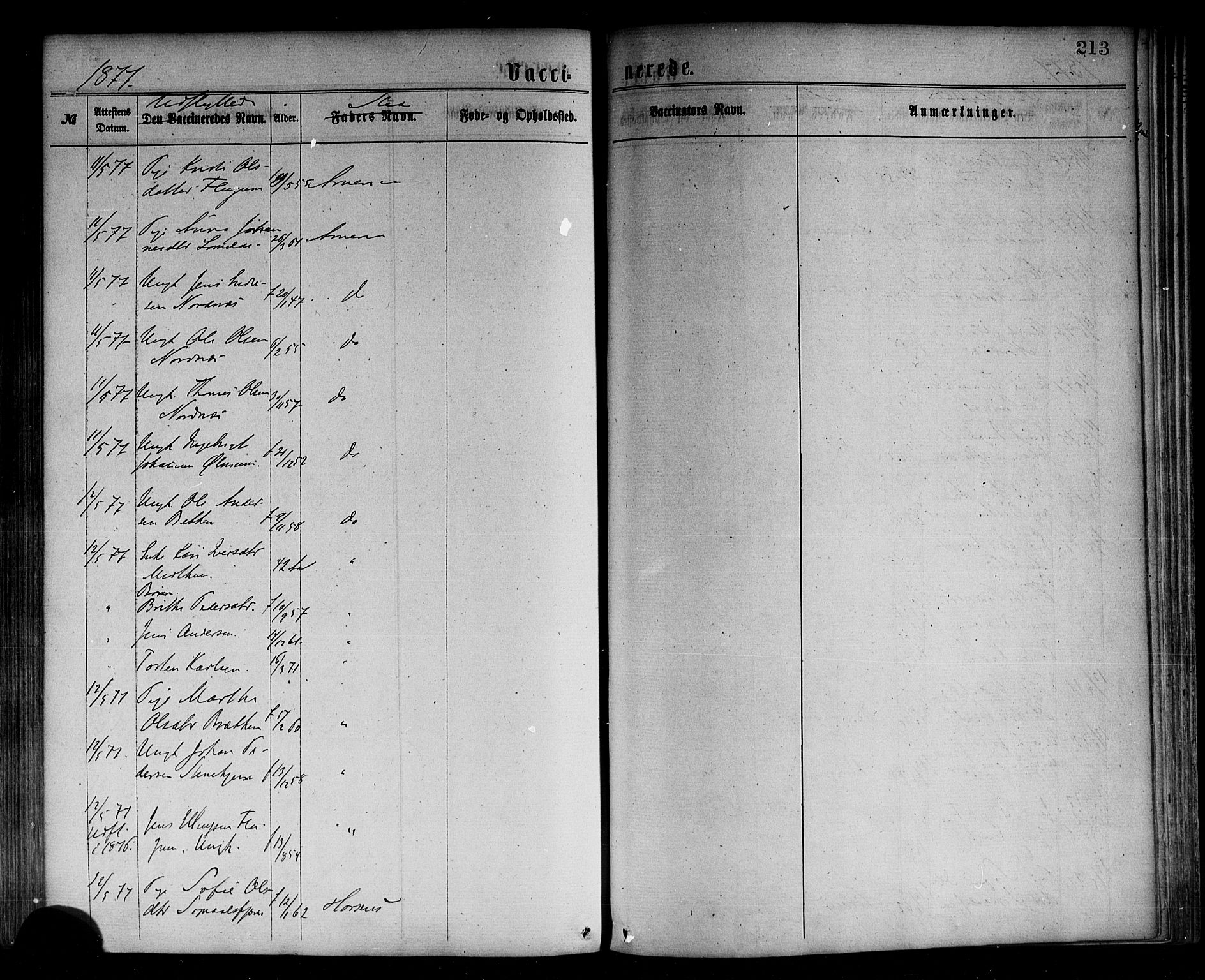 Sogndal sokneprestembete, SAB/A-81301/H/Haa/Haaa/L0014: Parish register (official) no. A 14, 1864-1877, p. 213