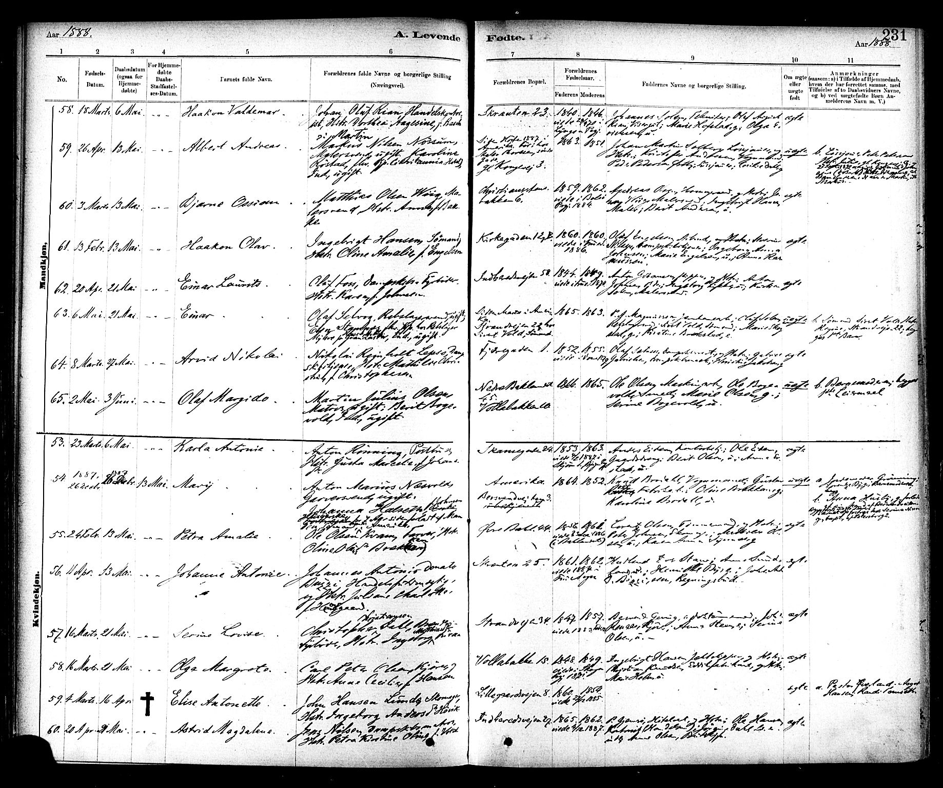 Ministerialprotokoller, klokkerbøker og fødselsregistre - Sør-Trøndelag, SAT/A-1456/604/L0188: Parish register (official) no. 604A09, 1878-1892, p. 231