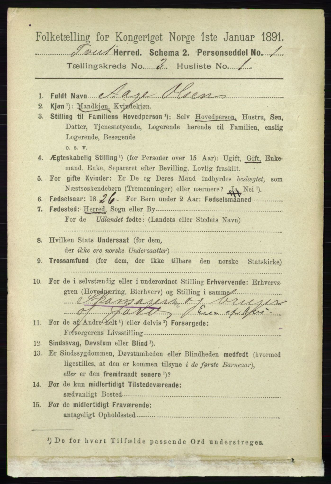 RA, 1891 census for 1013 Tveit, 1891, p. 1181