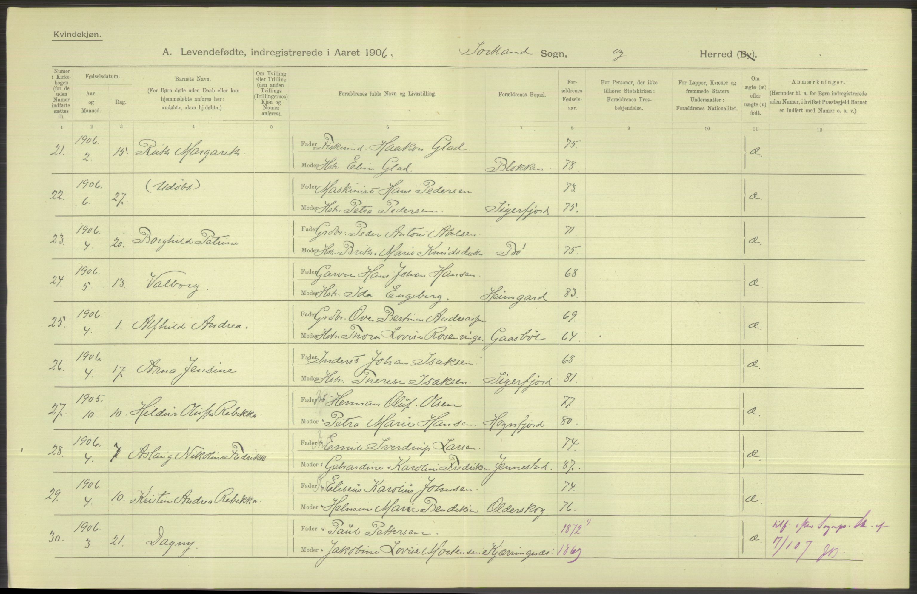 Statistisk sentralbyrå, Sosiodemografiske emner, Befolkning, AV/RA-S-2228/D/Df/Dfa/Dfad/L0044: Nordlands amt: Levendefødte menn og kvinner. Bygder., 1906, p. 30