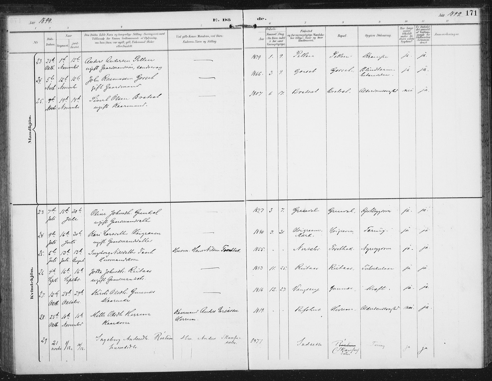 Ministerialprotokoller, klokkerbøker og fødselsregistre - Sør-Trøndelag, AV/SAT-A-1456/674/L0872: Parish register (official) no. 674A04, 1897-1907, p. 171