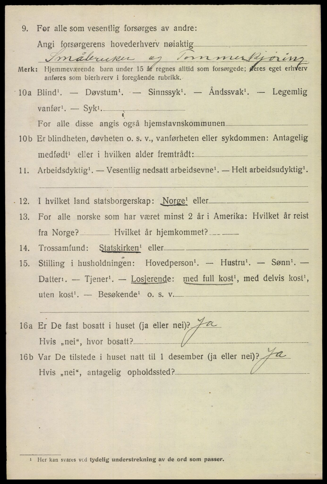 SAH, 1920 census for Hof, 1920, p. 7110