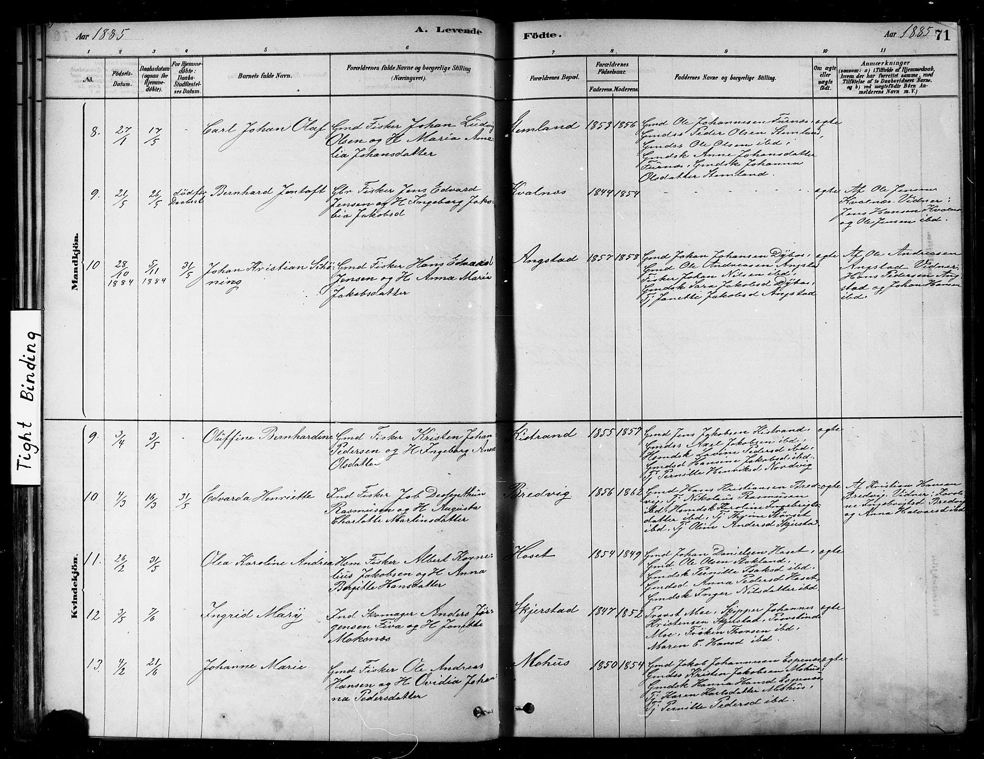 Ministerialprotokoller, klokkerbøker og fødselsregistre - Nordland, AV/SAT-A-1459/852/L0740: Parish register (official) no. 852A10, 1878-1894, p. 71