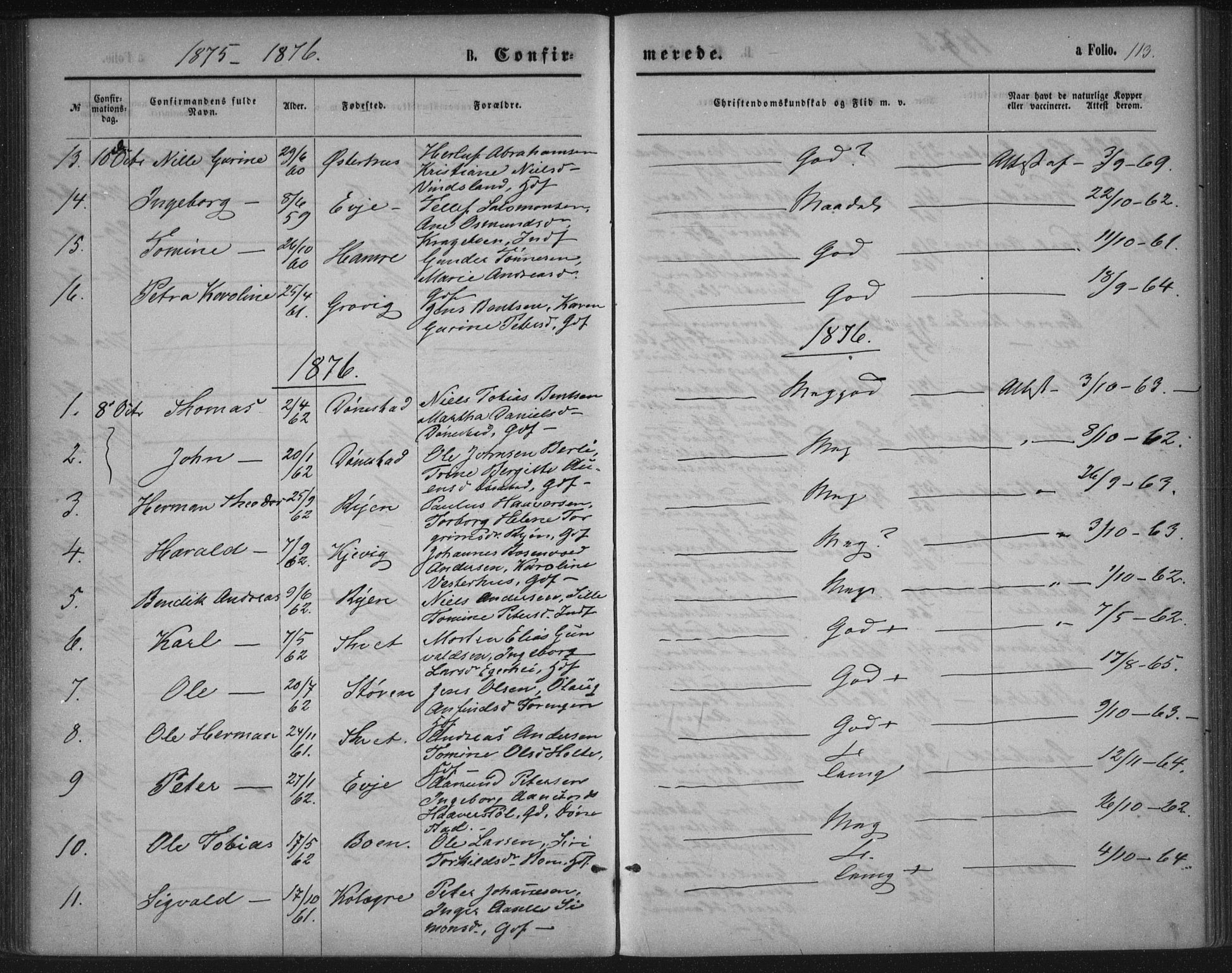 Tveit sokneprestkontor, SAK/1111-0043/F/Fa/L0006: Parish register (official) no. A 6, 1872-1886, p. 113