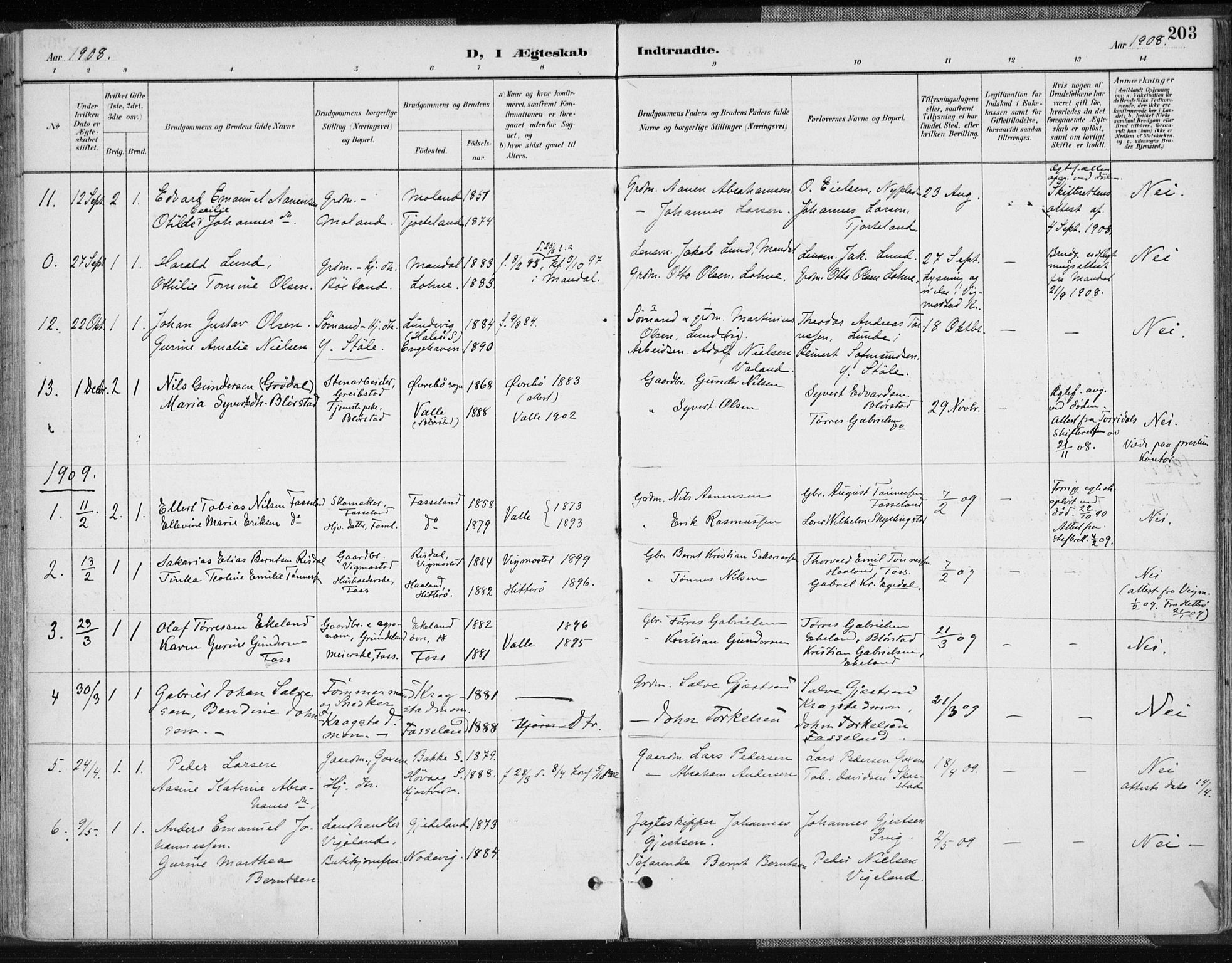 Sør-Audnedal sokneprestkontor, AV/SAK-1111-0039/F/Fa/Fab/L0010: Parish register (official) no. A 10, 1892-1913, p. 203