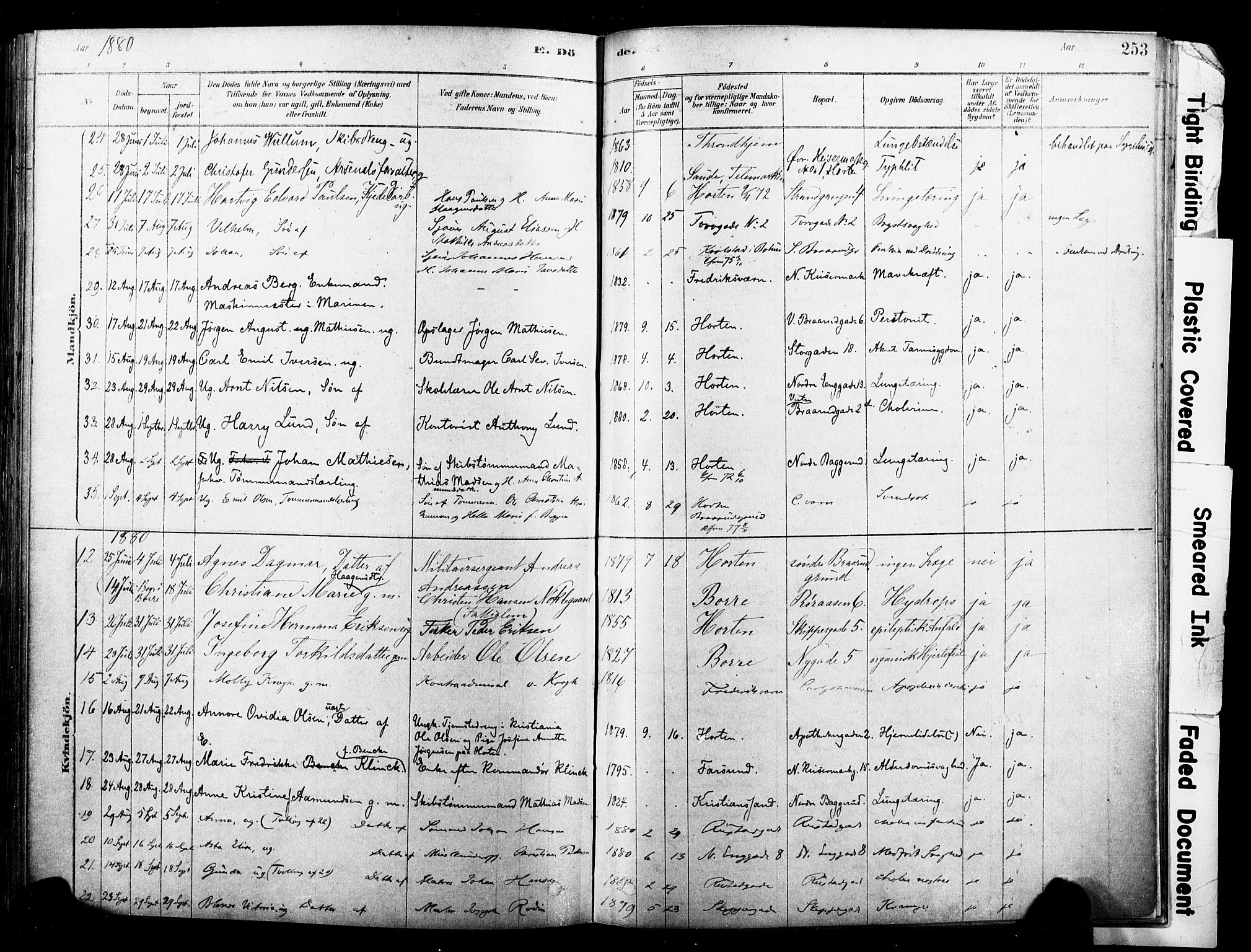 Horten kirkebøker, AV/SAKO-A-348/F/Fa/L0003: Parish register (official) no. 3, 1878-1887, p. 253