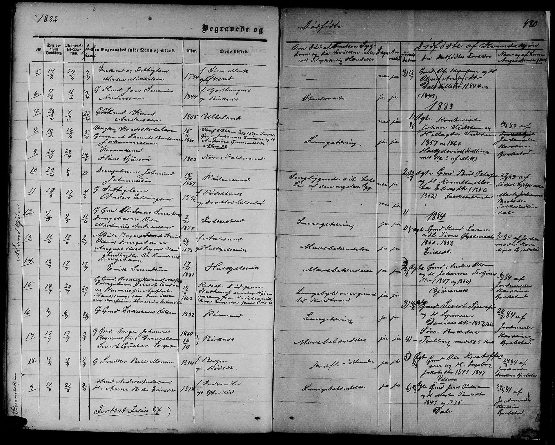 Ministerialprotokoller, klokkerbøker og fødselsregistre - Møre og Romsdal, AV/SAT-A-1454/511/L0157: Parish register (copy) no. 511C03, 1864-1884, p. 480