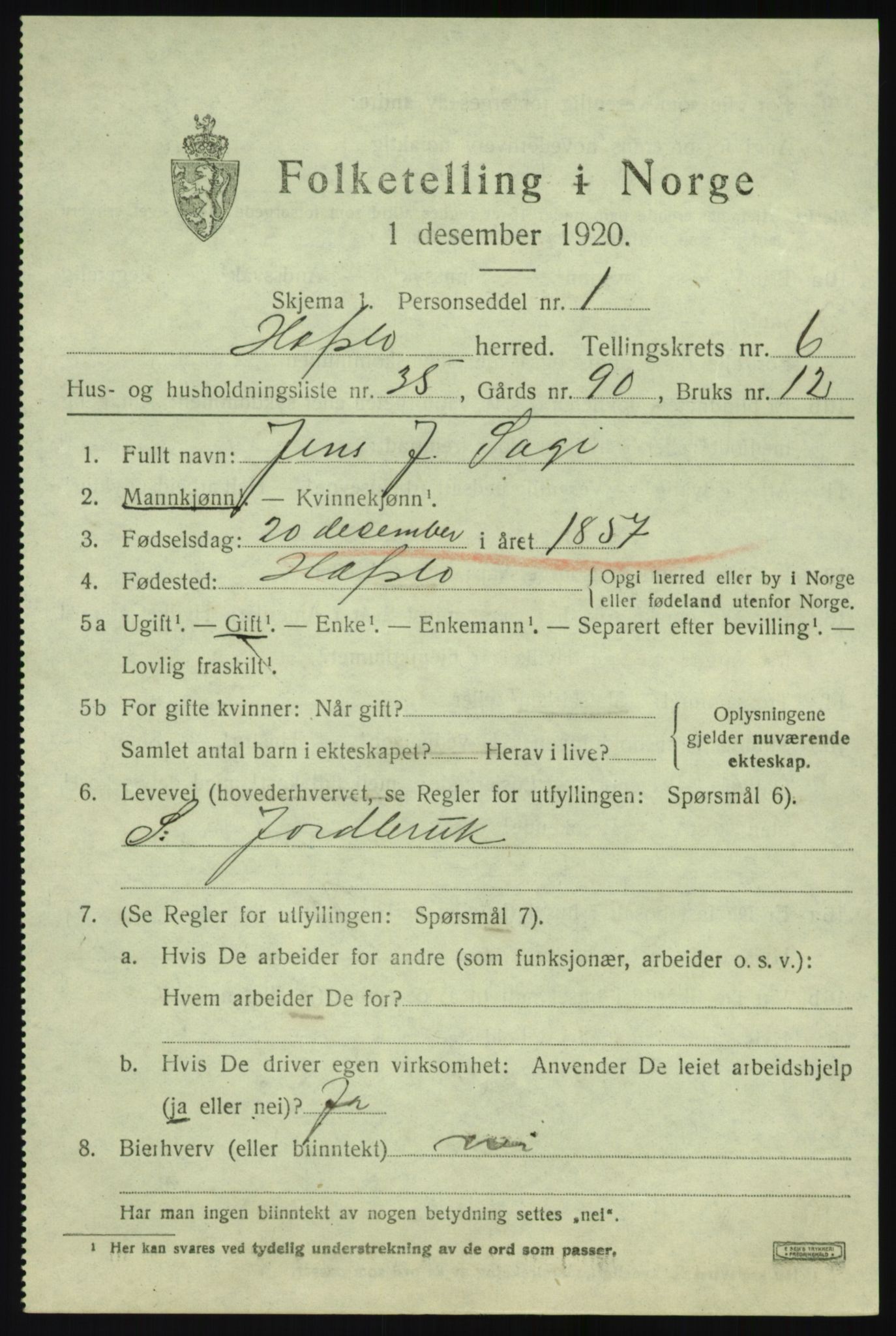 SAB, 1920 census for Hafslo, 1920, p. 4964