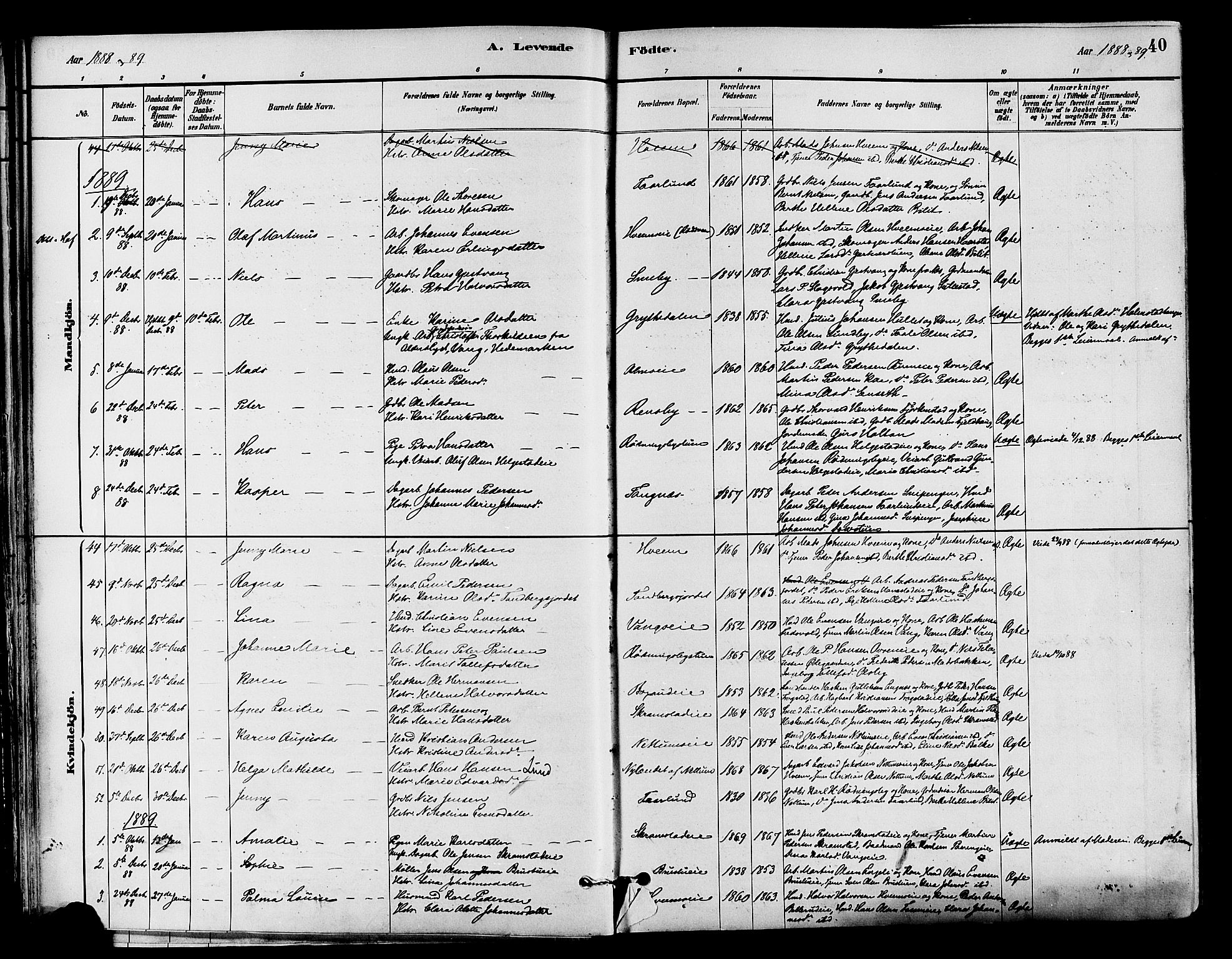 Østre Toten prestekontor, AV/SAH-PREST-104/H/Ha/Haa/L0007: Parish register (official) no. 7, 1881-1896, p. 40