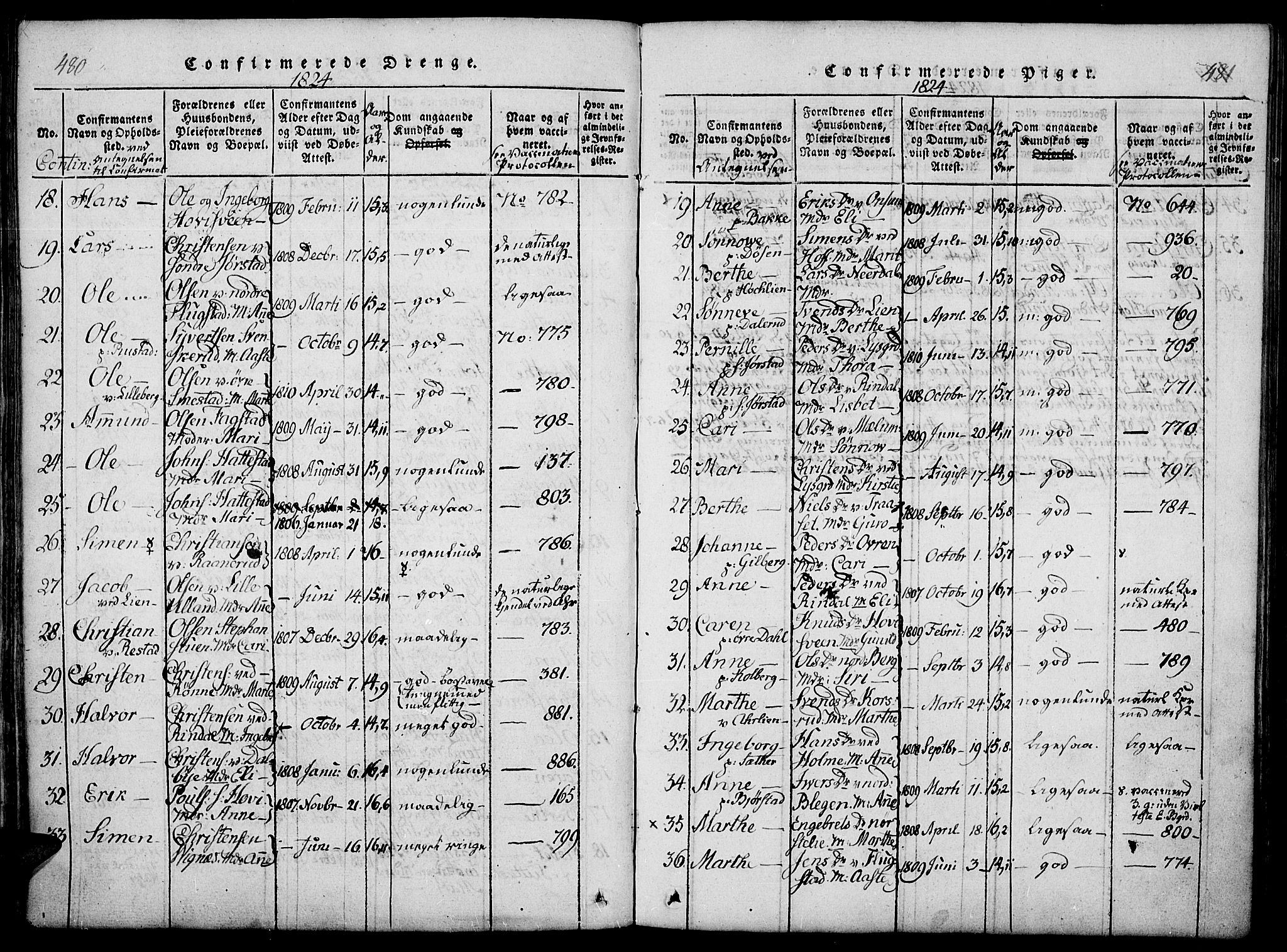 Fåberg prestekontor, AV/SAH-PREST-086/H/Ha/Haa/L0003: Parish register (official) no. 3, 1818-1833, p. 480-481