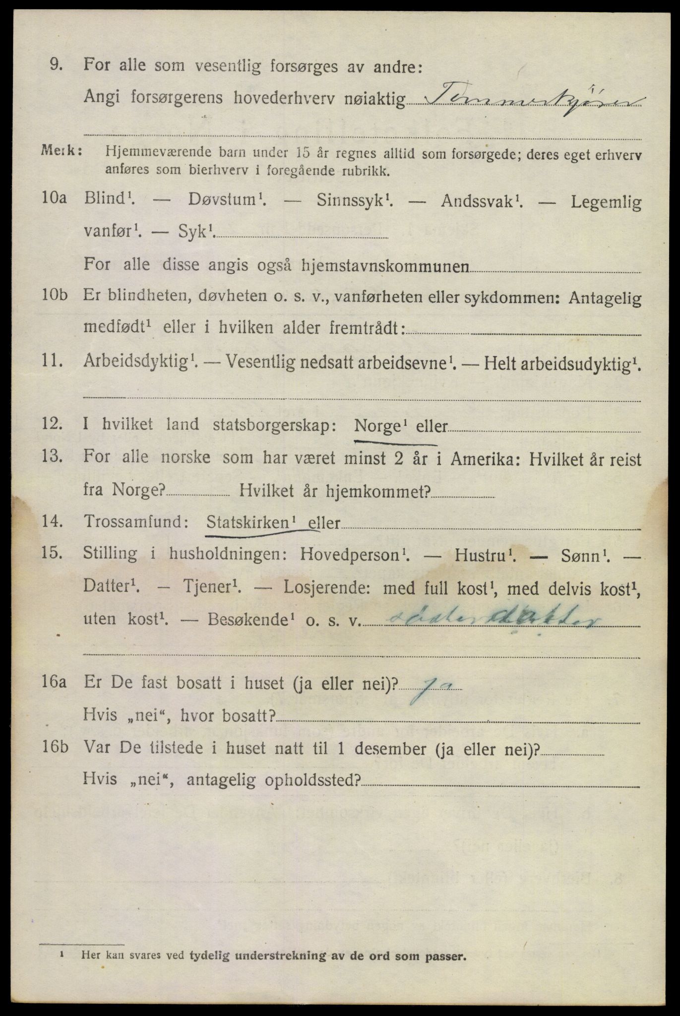 SAKO, 1920 census for Lier, 1920, p. 17257