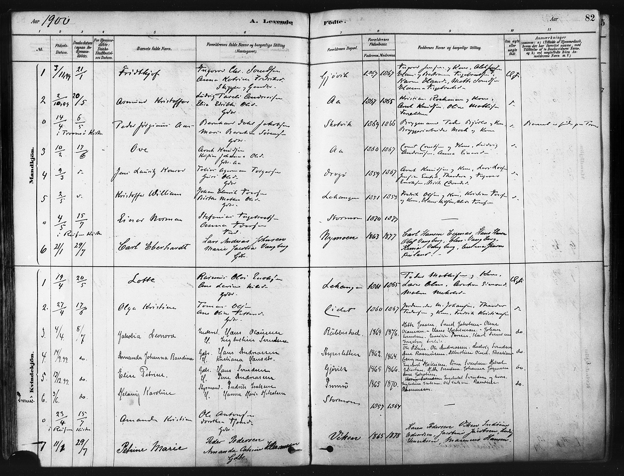 Tranøy sokneprestkontor, SATØ/S-1313/I/Ia/Iaa/L0009kirke: Parish register (official) no. 9, 1878-1904, p. 82