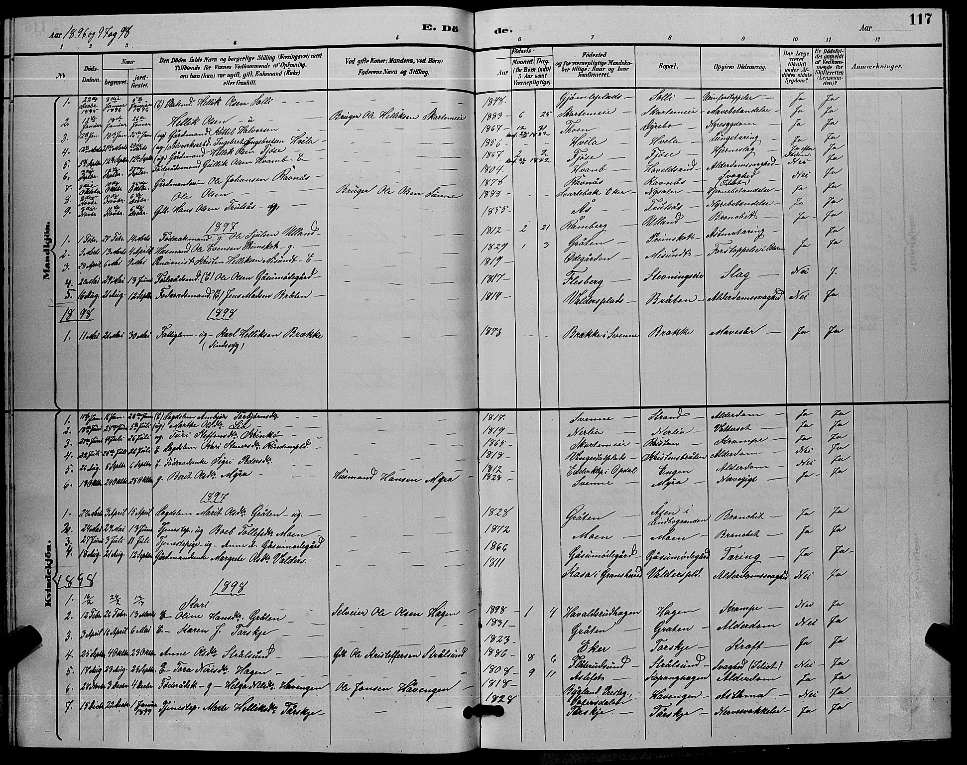 Flesberg kirkebøker, SAKO/A-18/G/Ga/L0004: Parish register (copy) no. I 4 /2, 1890-1898, p. 117