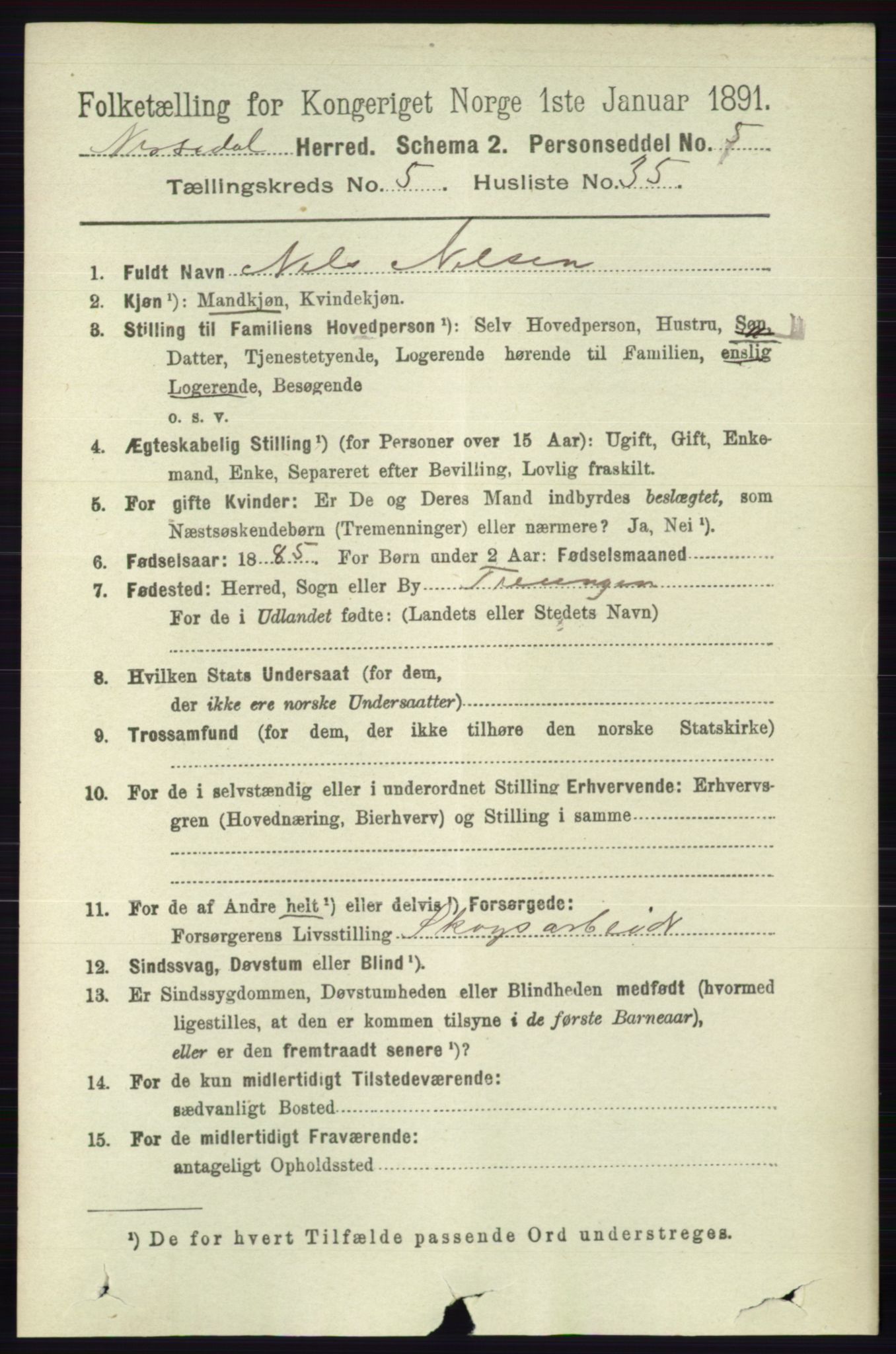 RA, 1891 census for 0830 Nissedal, 1891, p. 1311