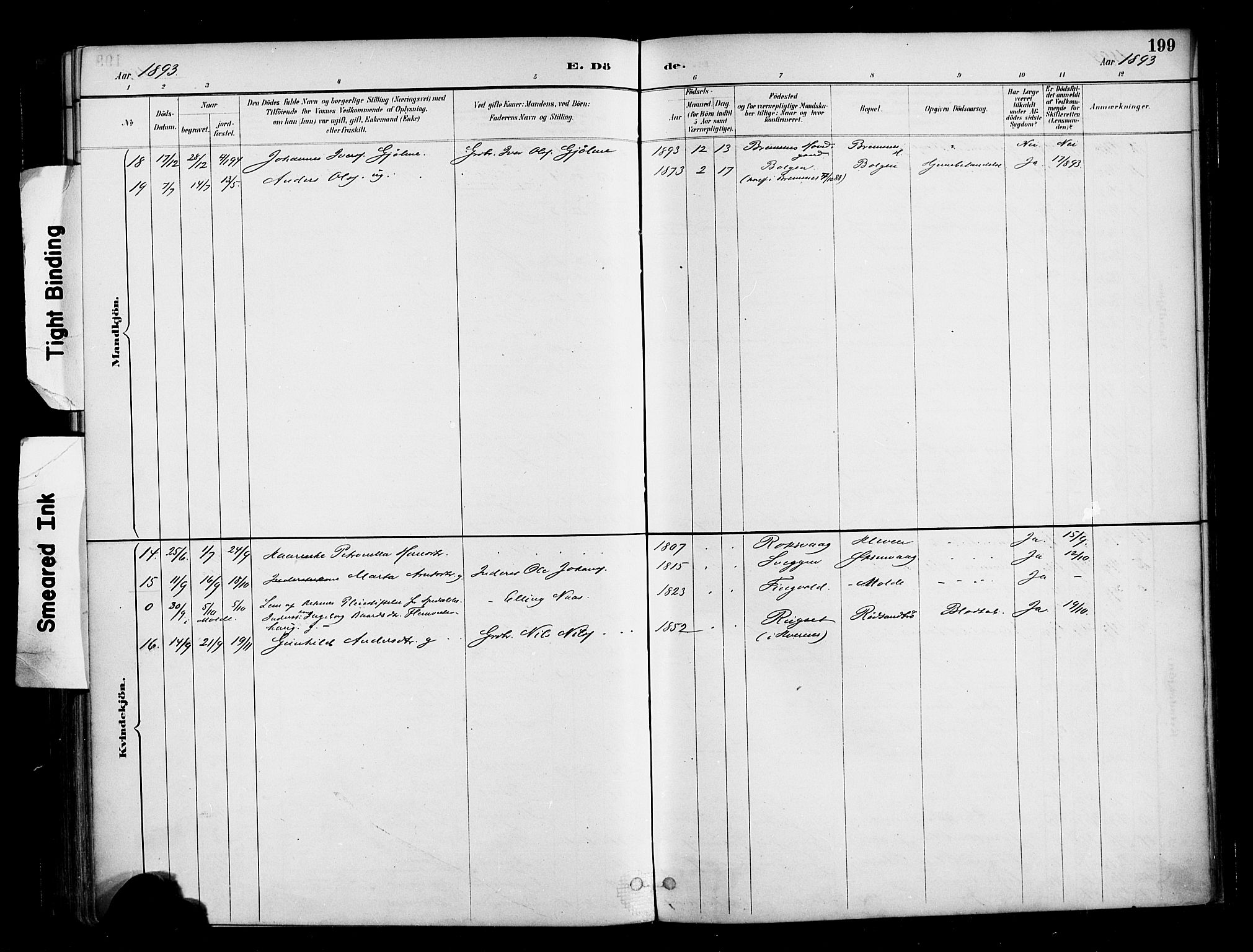 Ministerialprotokoller, klokkerbøker og fødselsregistre - Møre og Romsdal, AV/SAT-A-1454/569/L0819: Parish register (official) no. 569A05, 1885-1899, p. 199