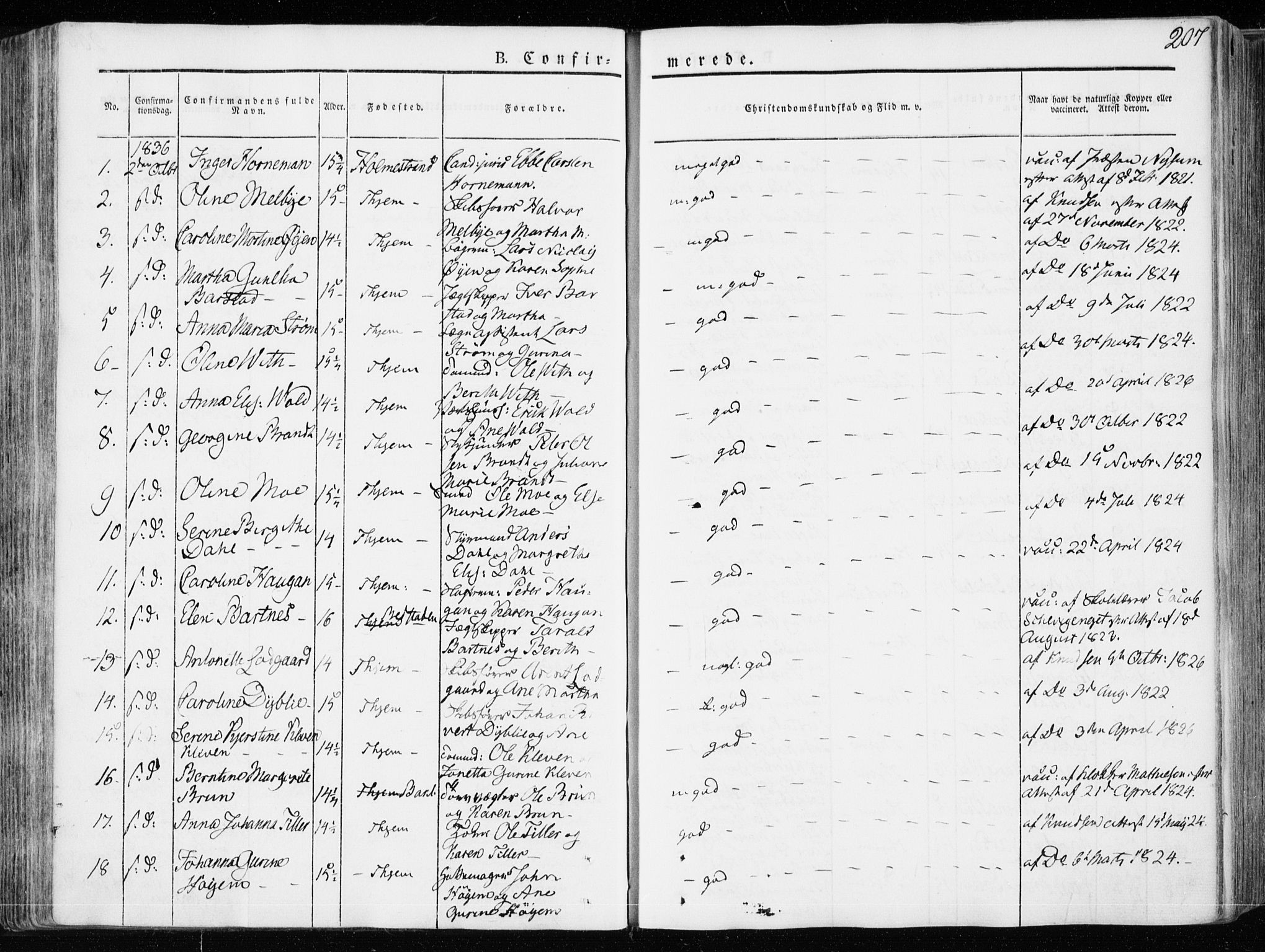 Ministerialprotokoller, klokkerbøker og fødselsregistre - Sør-Trøndelag, AV/SAT-A-1456/601/L0047: Parish register (official) no. 601A15, 1831-1839, p. 207