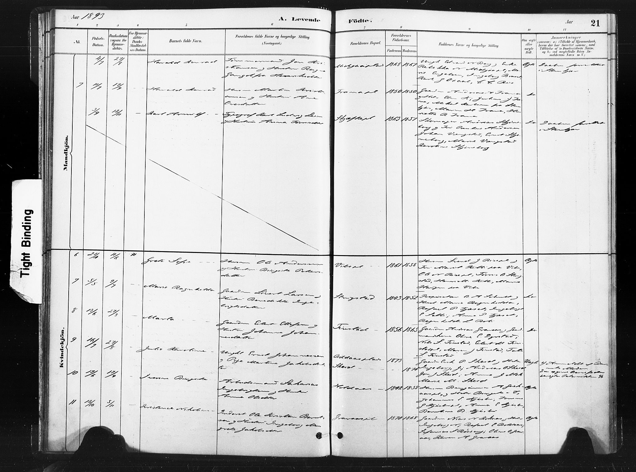 Ministerialprotokoller, klokkerbøker og fødselsregistre - Nord-Trøndelag, AV/SAT-A-1458/736/L0361: Parish register (official) no. 736A01, 1884-1906, p. 21